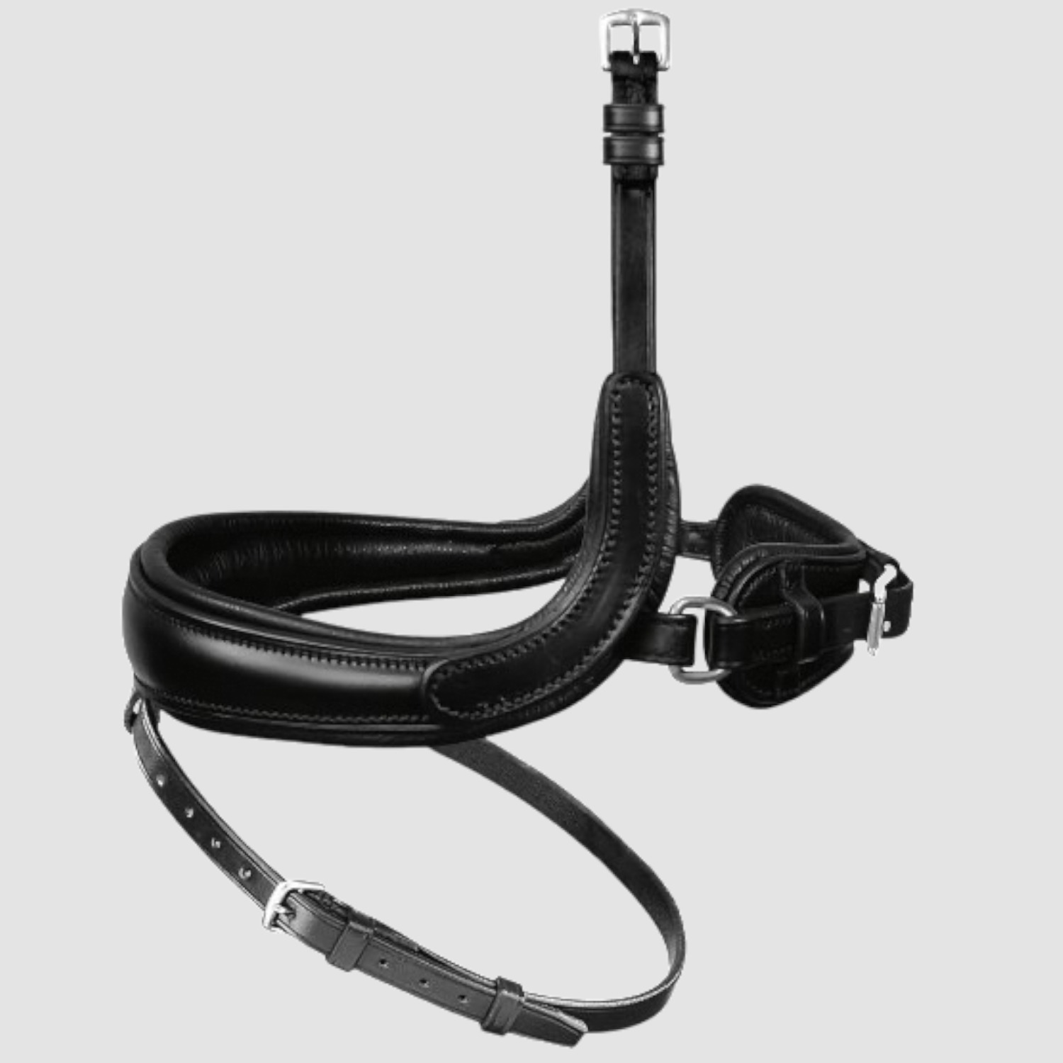 Passier Reithalfter Wechselnasenriemen alle Variationen