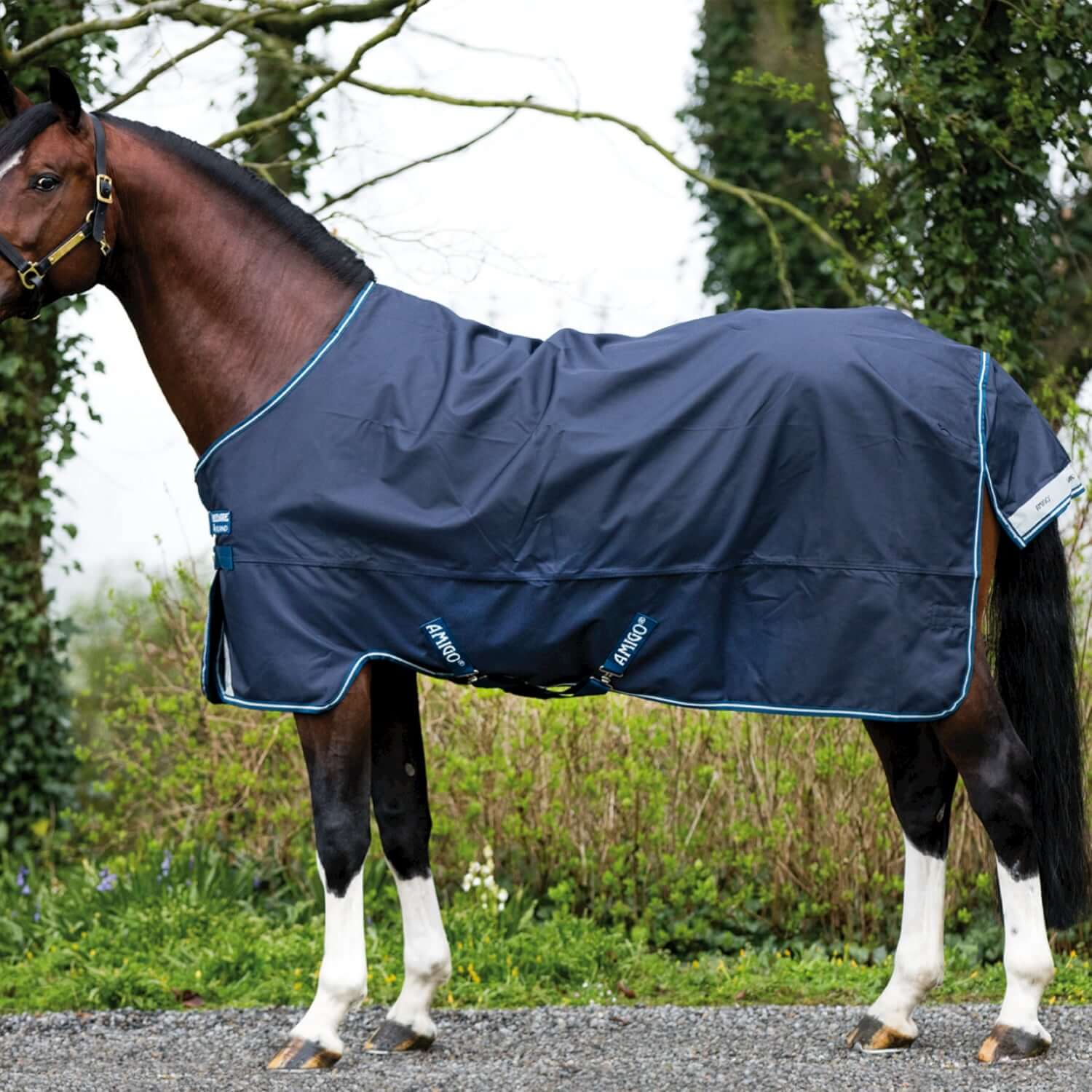 Horseware Regen- Weidedecke Amigo Bravo 12 T/O Lite