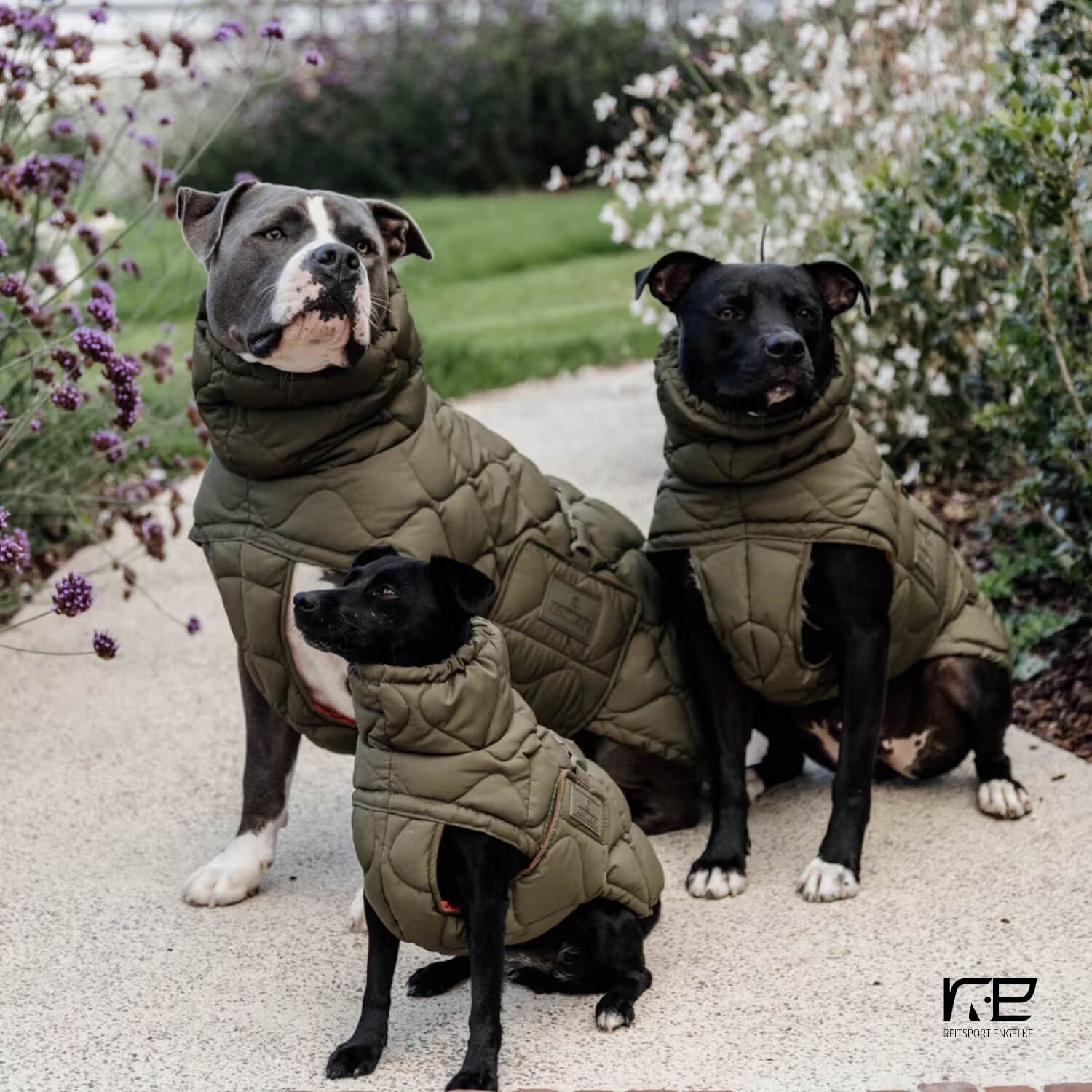 Kentucky Winter Hundemantel Pina grün