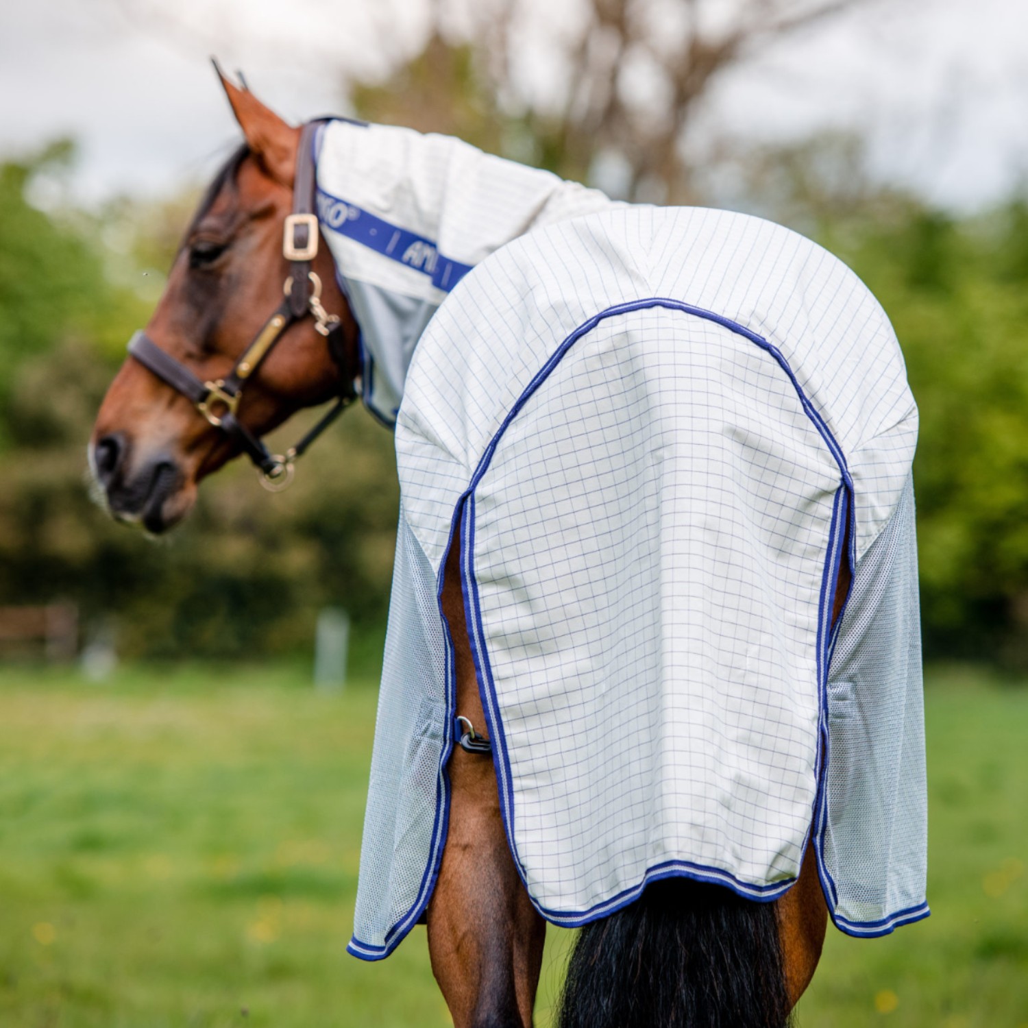 Horseware Amigo Airflow Sommerweidedecke