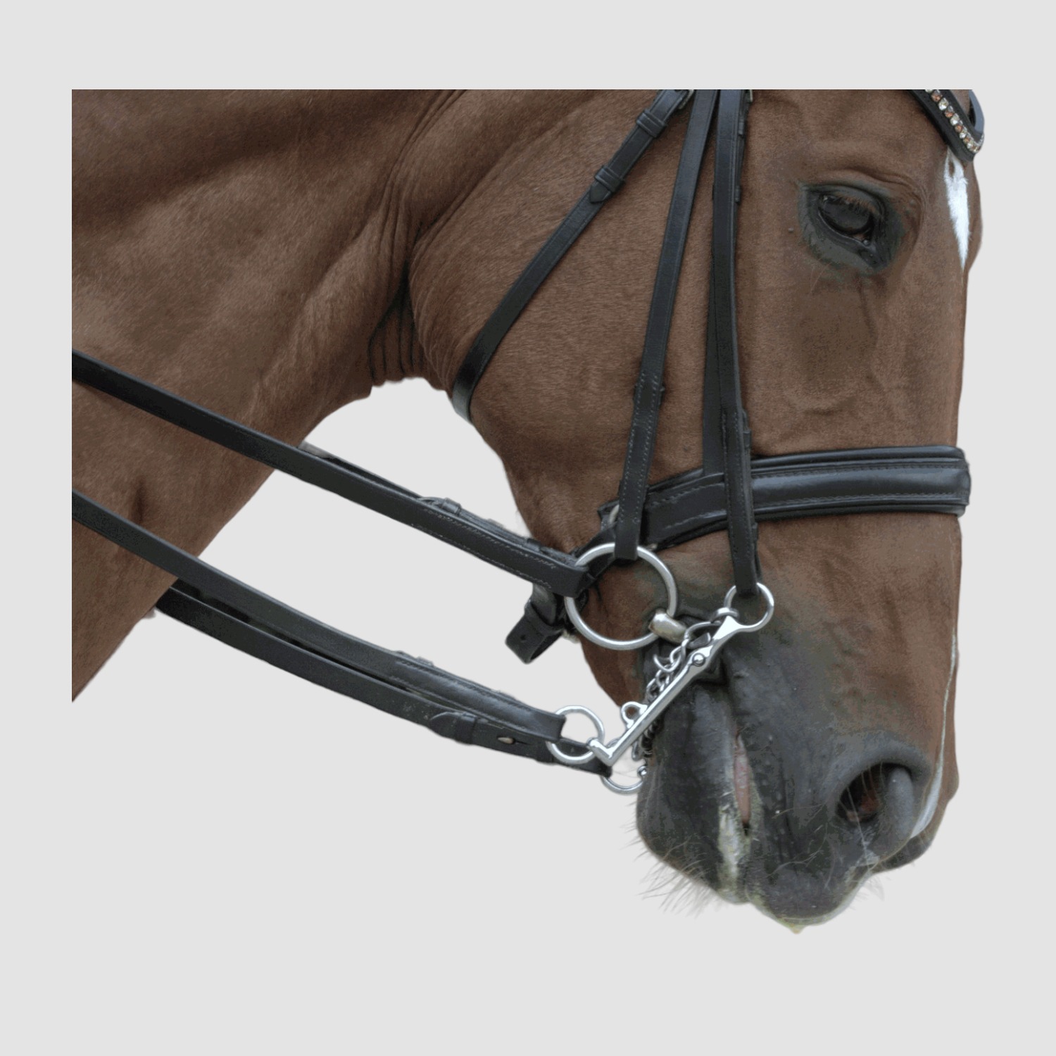 Sprenger HO-Reit-Kandare 14mm 7cm Anzug