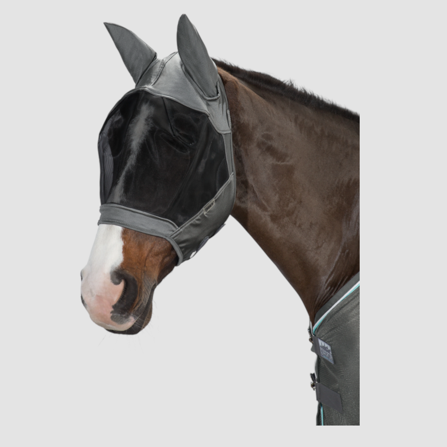 Eskadron Fliegenmaske Fly Mask Basics Grey