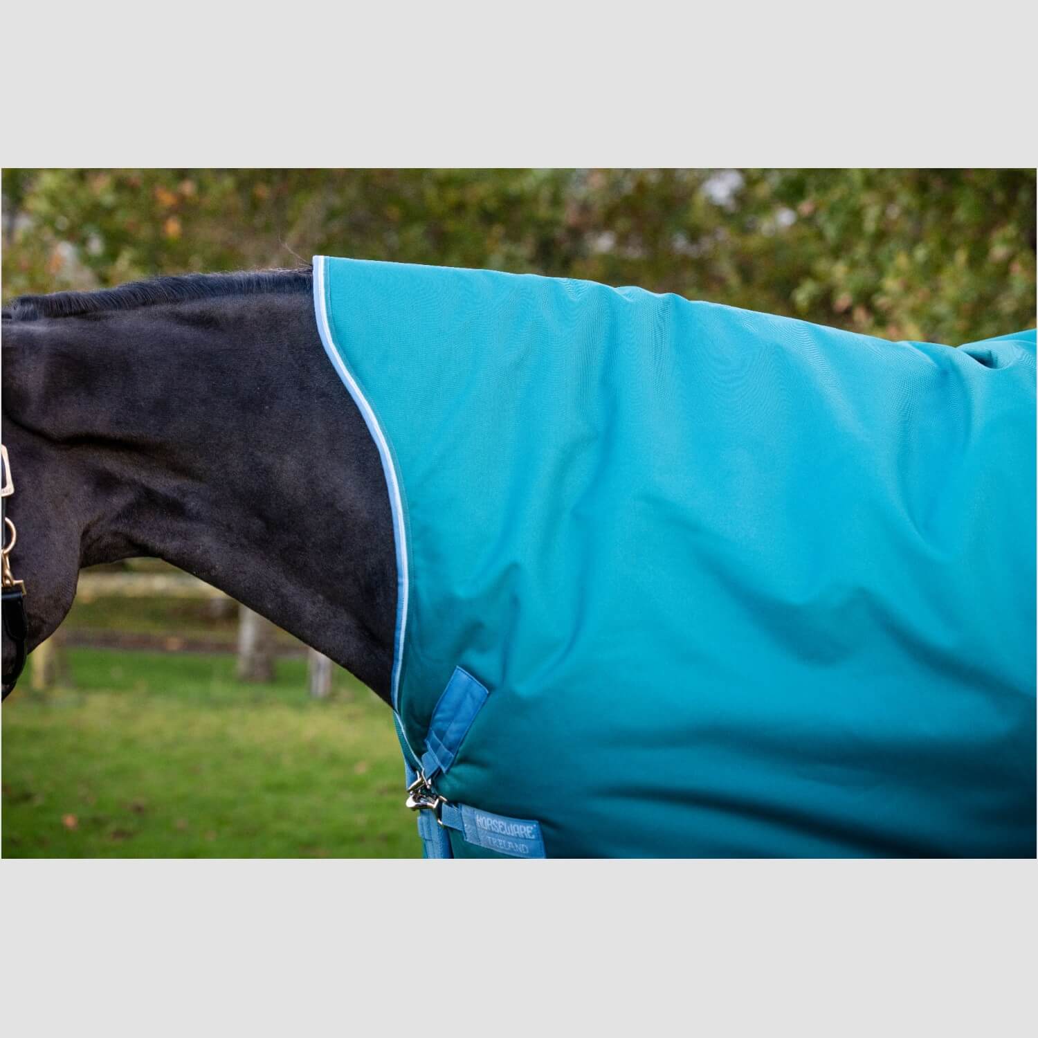 Horseware Amigo Bravo 12 Wug Lite 0g Storm Green/Turquoise, Aqua Horseware Amigo Bravo 12 Wug Lite 0g Storm Green/Turquoise, Aqua