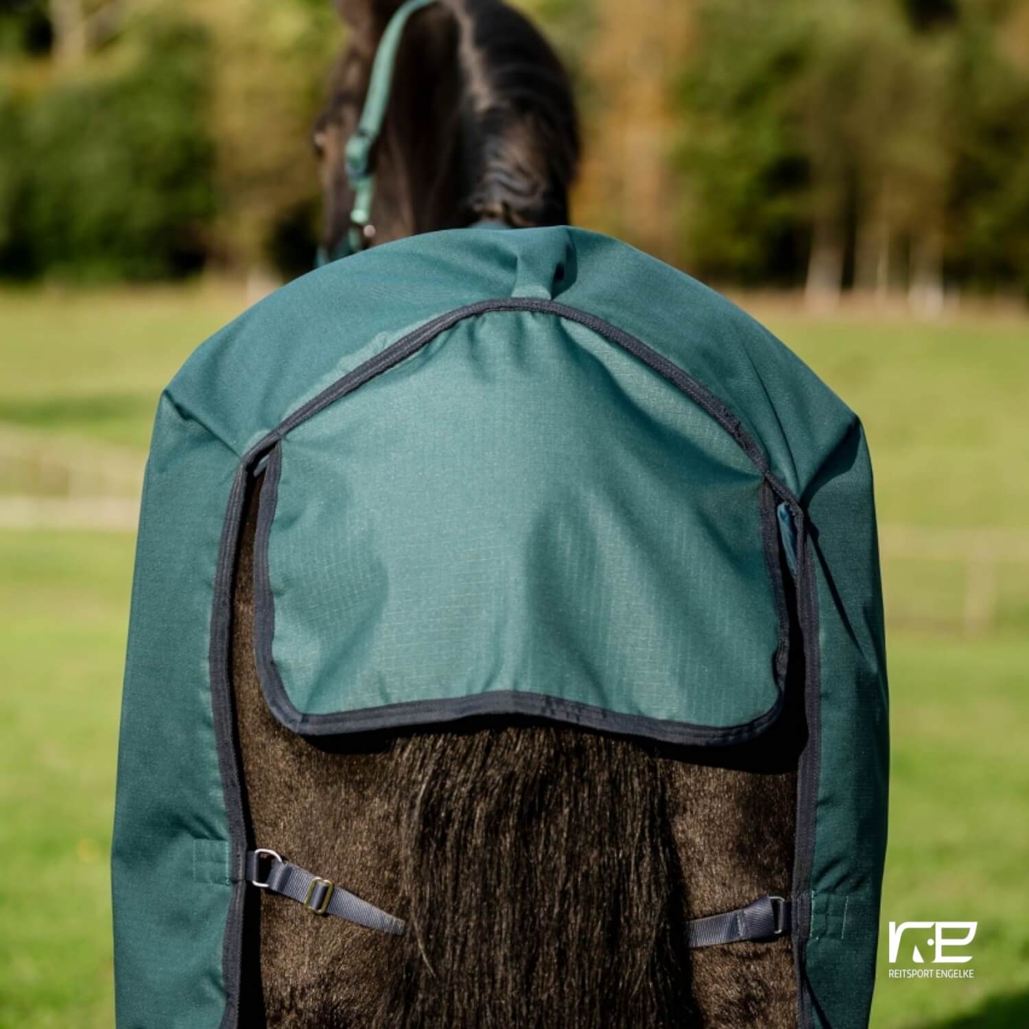 Horseware Amigo Ripstop 900D Turnout 50g Dynasty Green/Navy-Silver