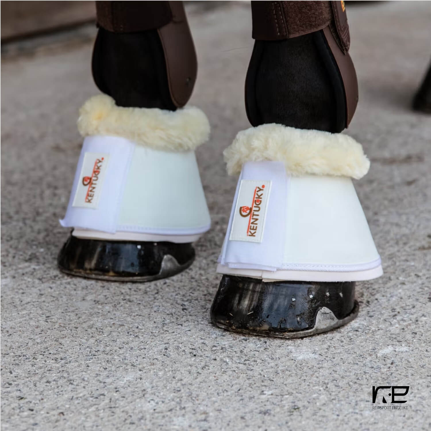 Kentucky Sprungglocken Leder Lammfell