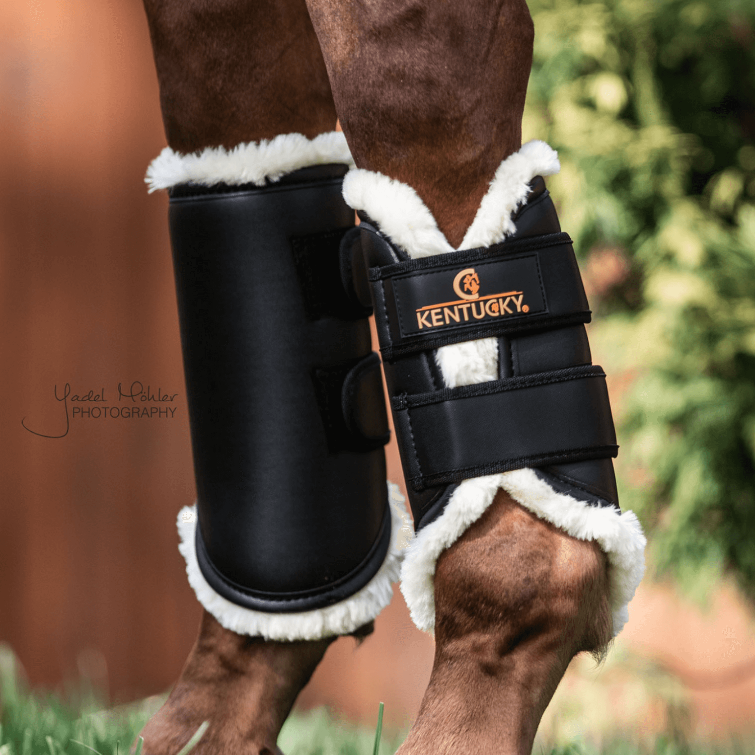 Kentucky Horsewear Arbeitsgamasche (Kunst-)leder vorne