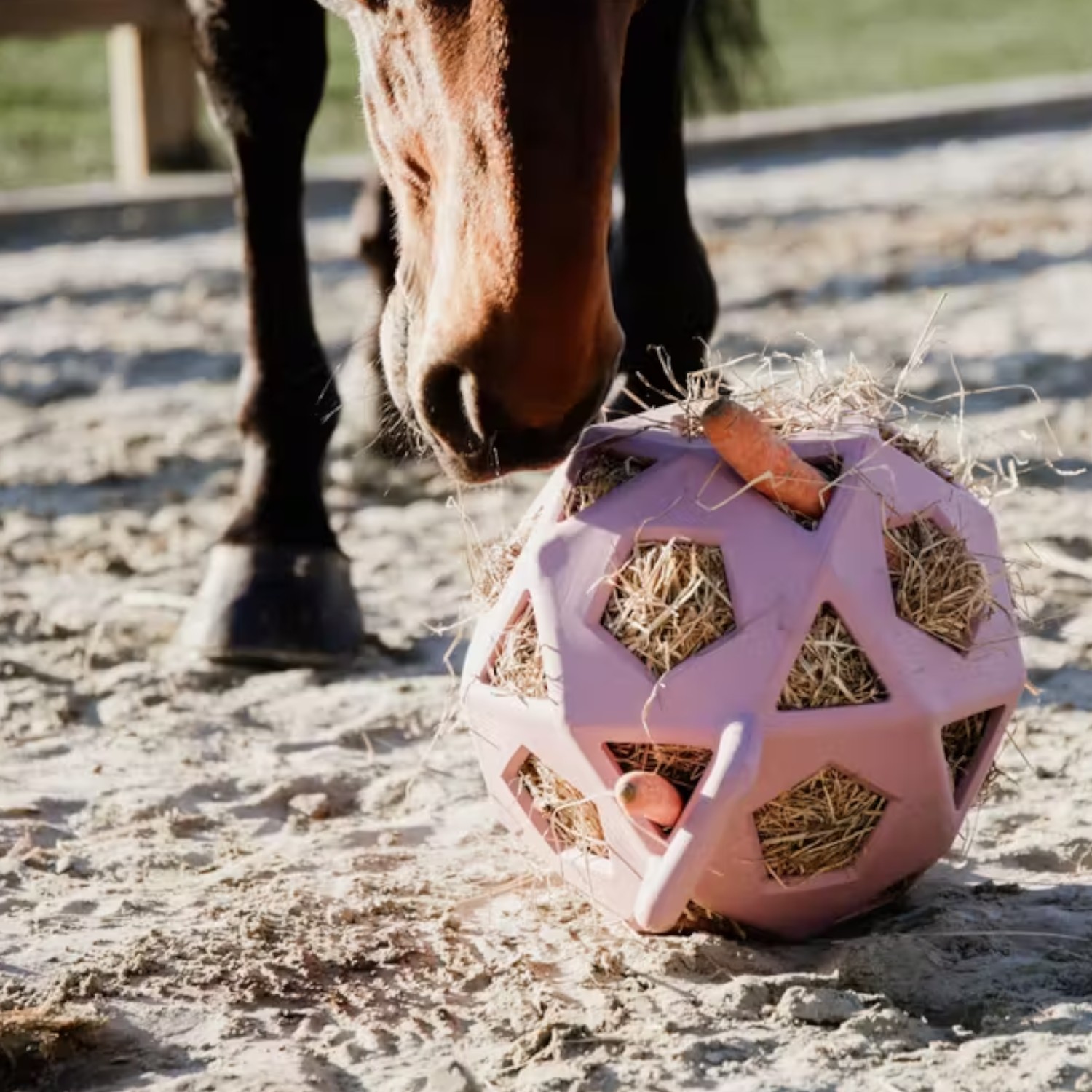 Kentucky Horsewear Relax Horse Spiel & Heuball L