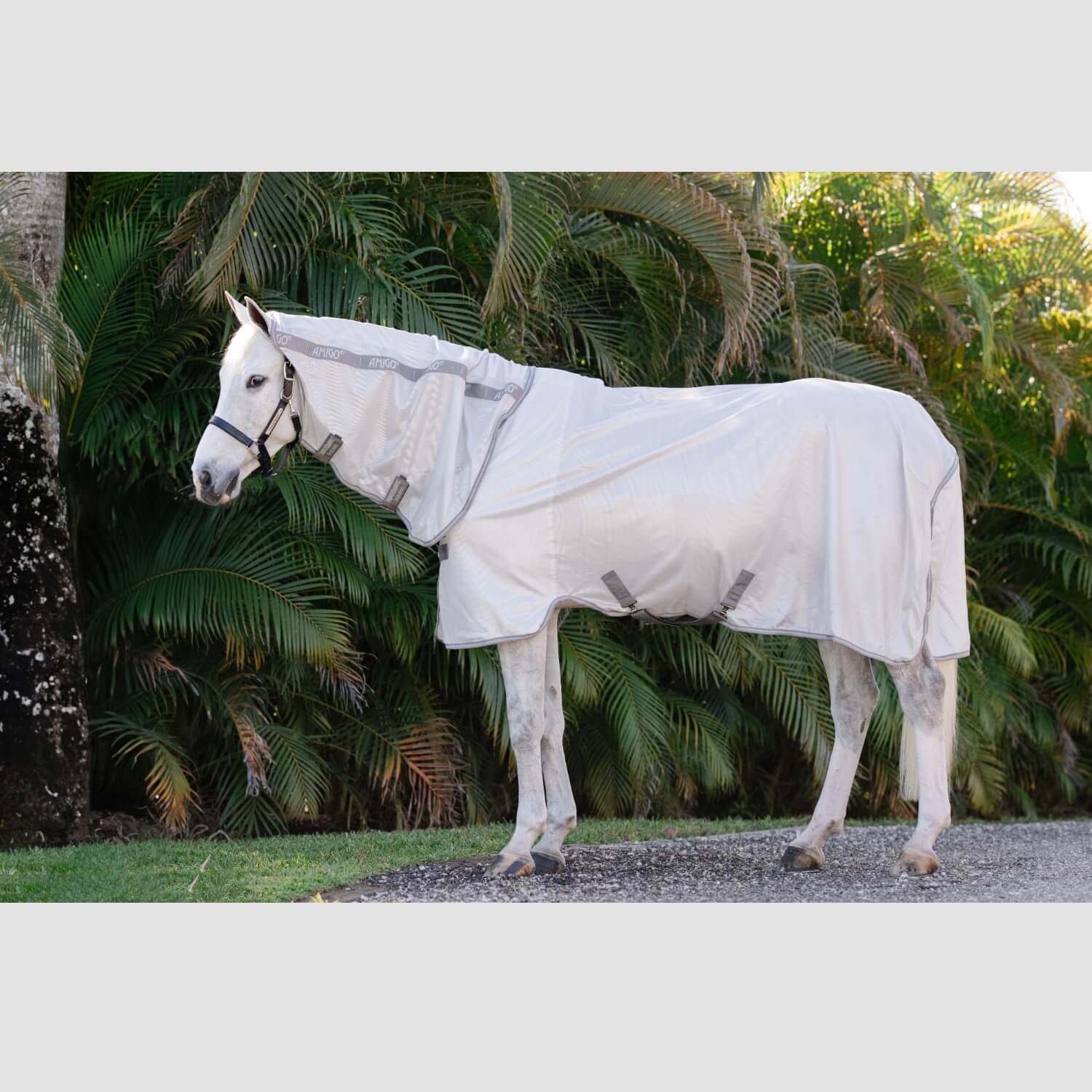 Horseware Amigo Integrated Fly Sheet Silver/Titanium/Grey