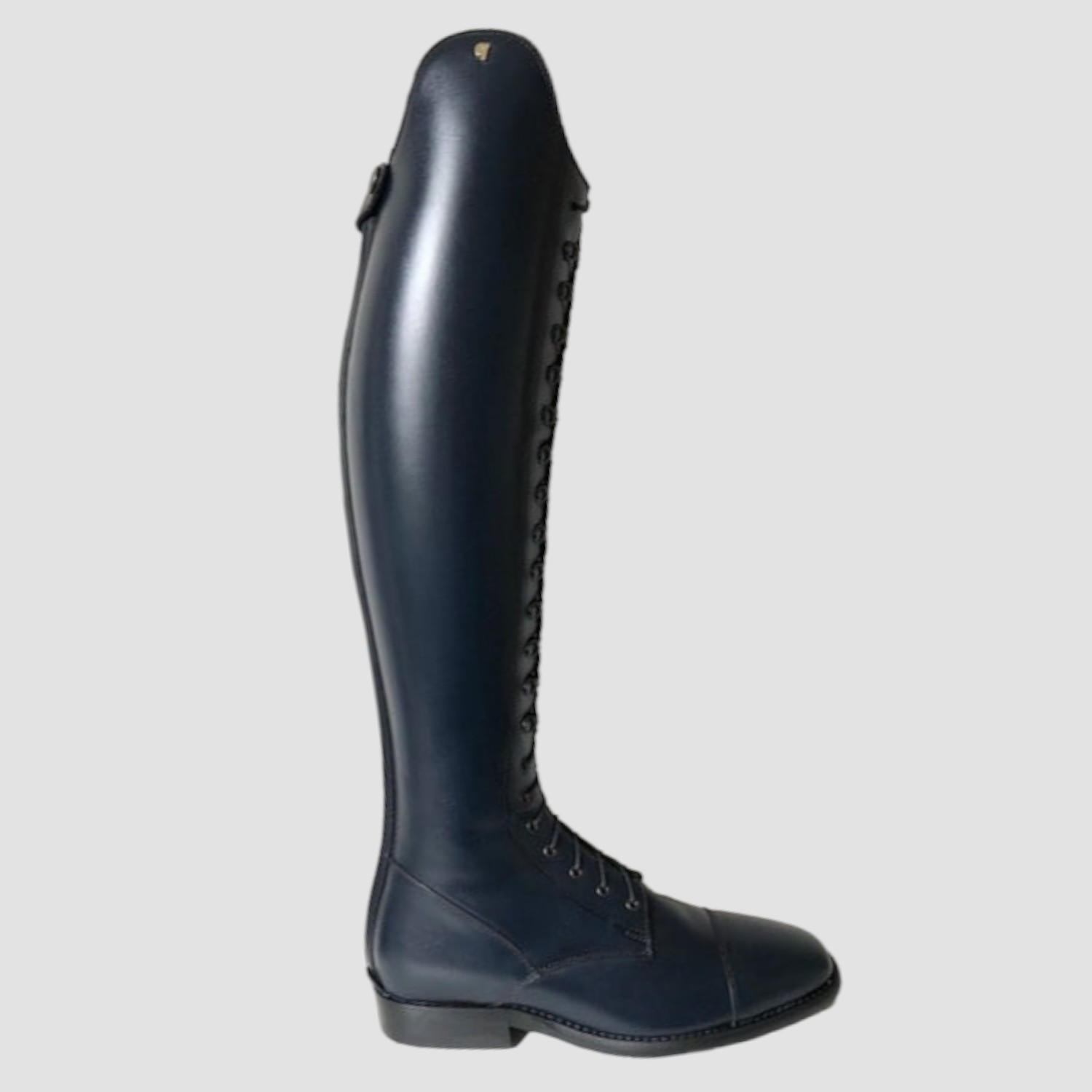 Petrie Reitstiefel Rimini Blau