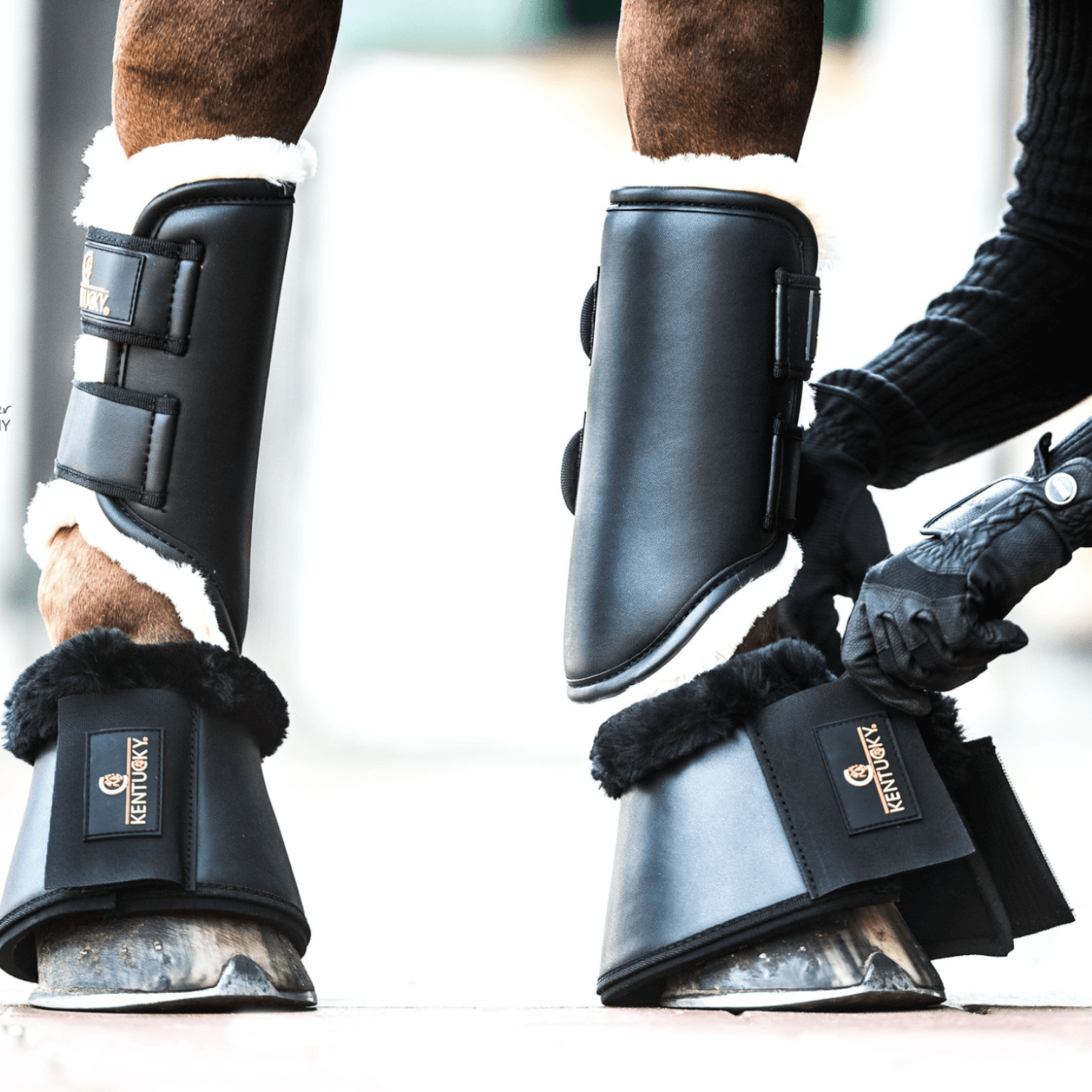 Kentucky Horsewear Arbeitsgamasche (Kunst-)leder vorne