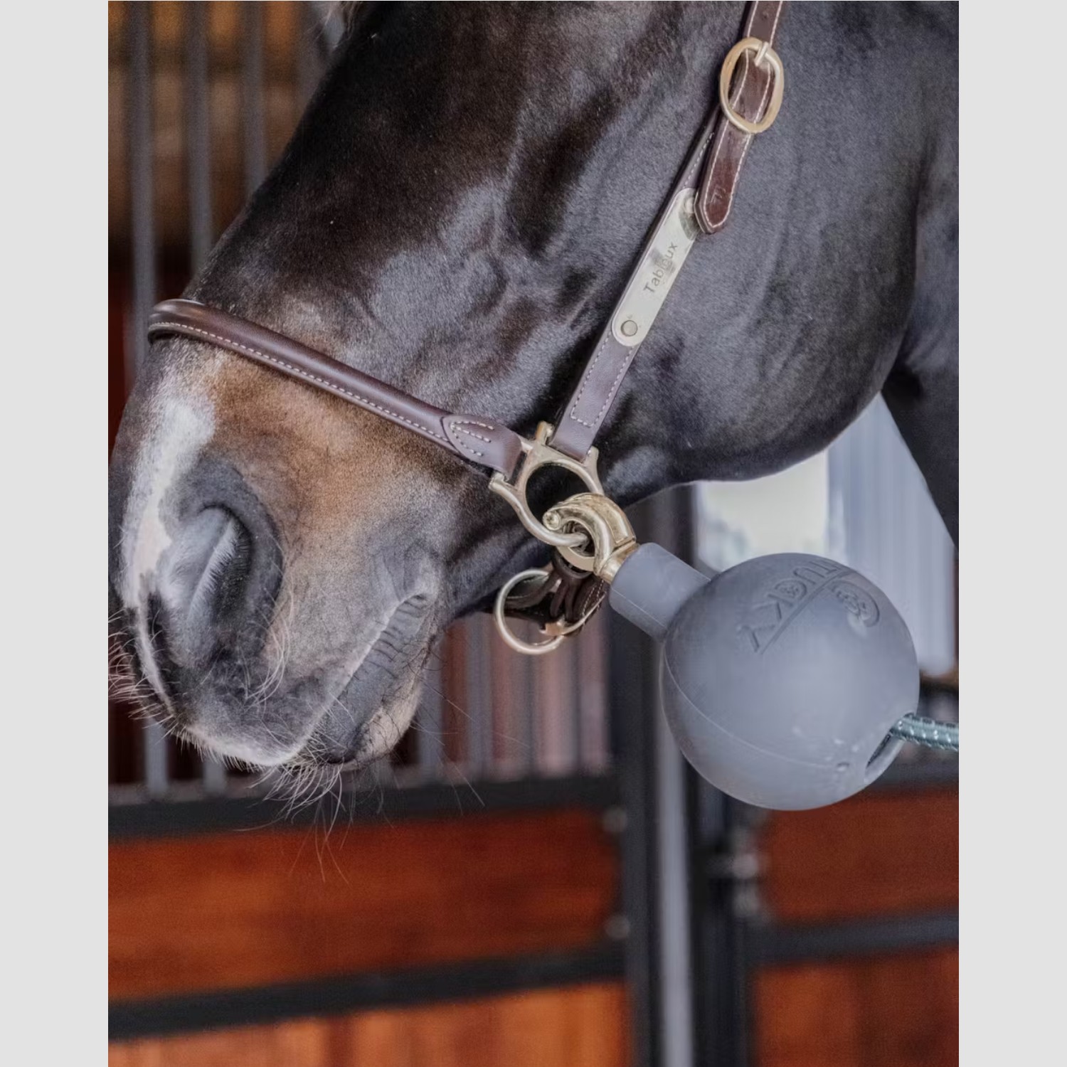 Kentucky Horsewear Strick & Wandschutz Ball