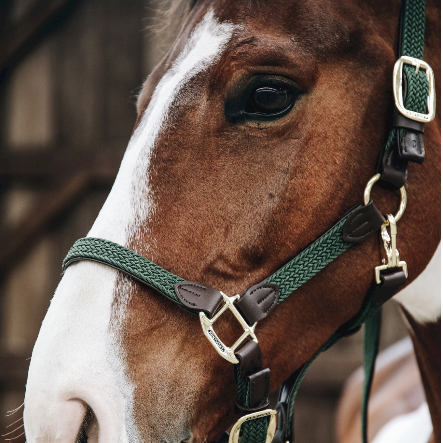 Kentucky Horsewear geflochtenes Nylonhalfter Kentucky Horsewear geflochtenes Nylonhalfter