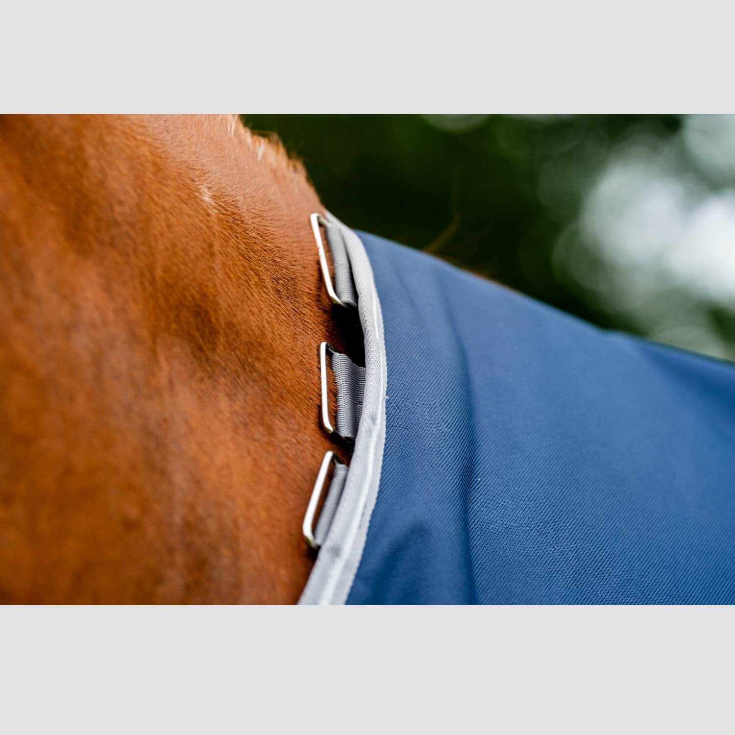 Horseware Amigo 1200D Turnout 0g Navy/Titanium/Grey & Silver Horseware Amigo 1200D Turnout 0g Navy/Titanium/Grey & Silver