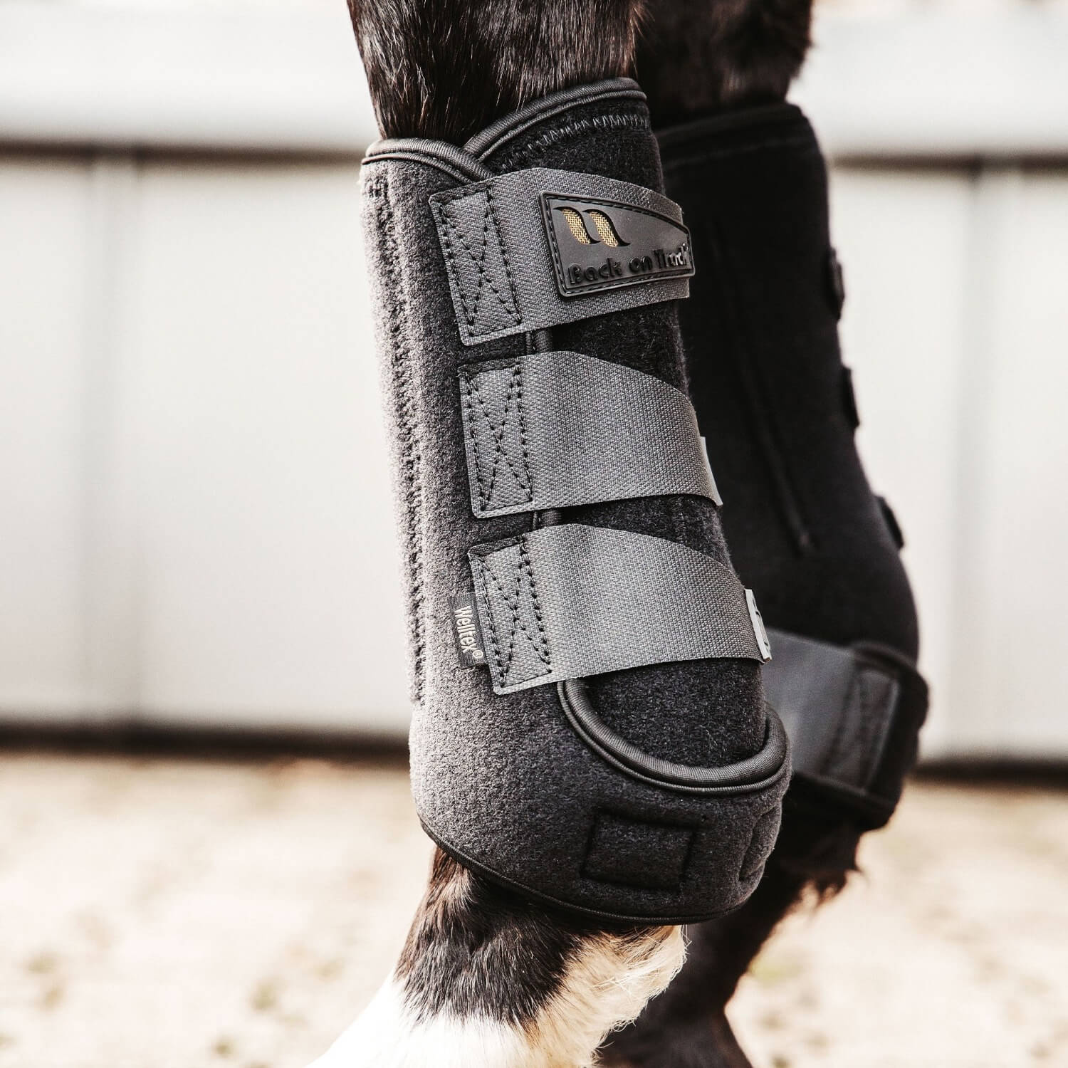 Back on Track Airflow Arbeitsgamaschen schwarz Back on Track Airflow Arbeitsgamaschen schwarz