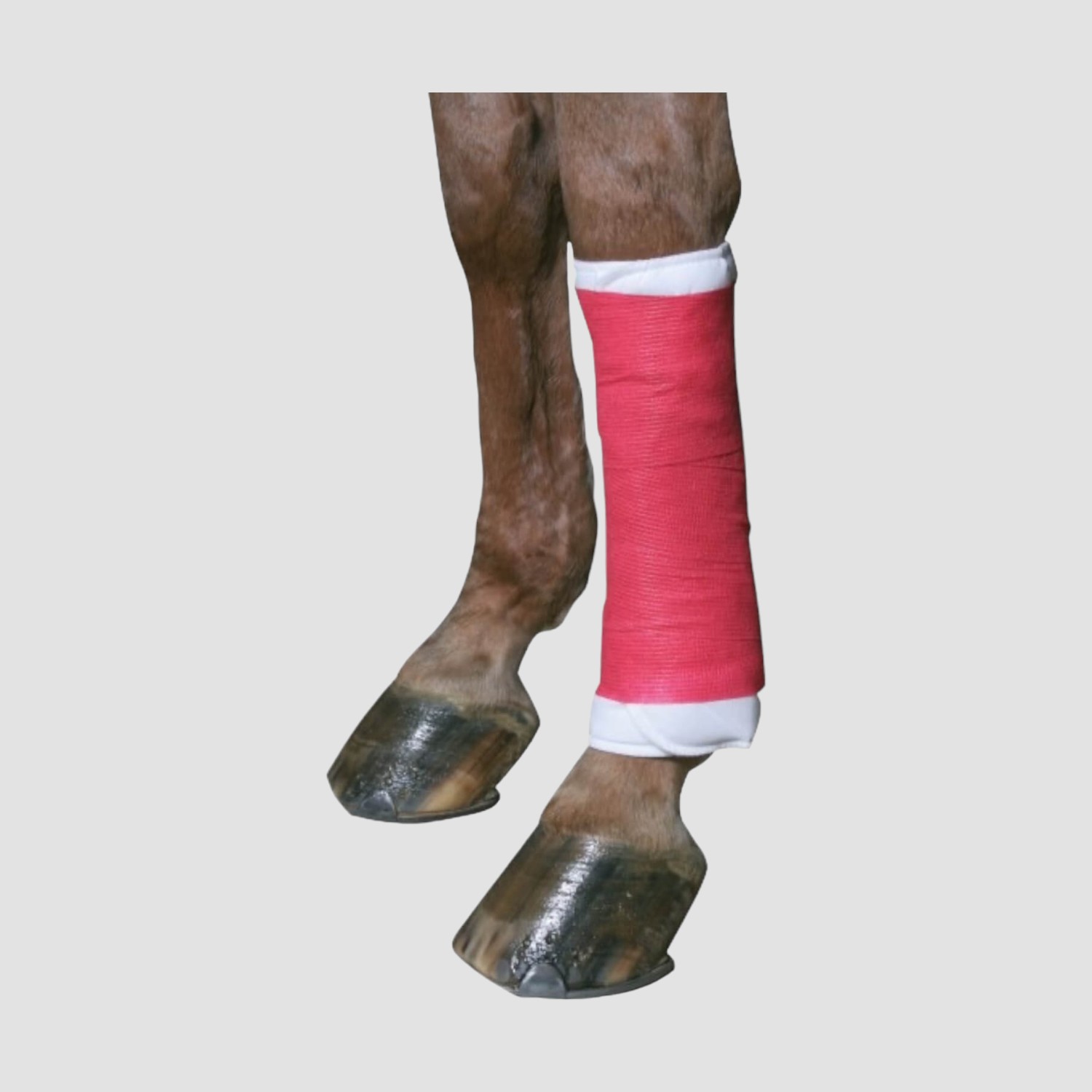 EquiLastic Selbsthaftende Bandage 10 cm Breit EquiLastic Selbsthaftende Bandage 10 cm Breit