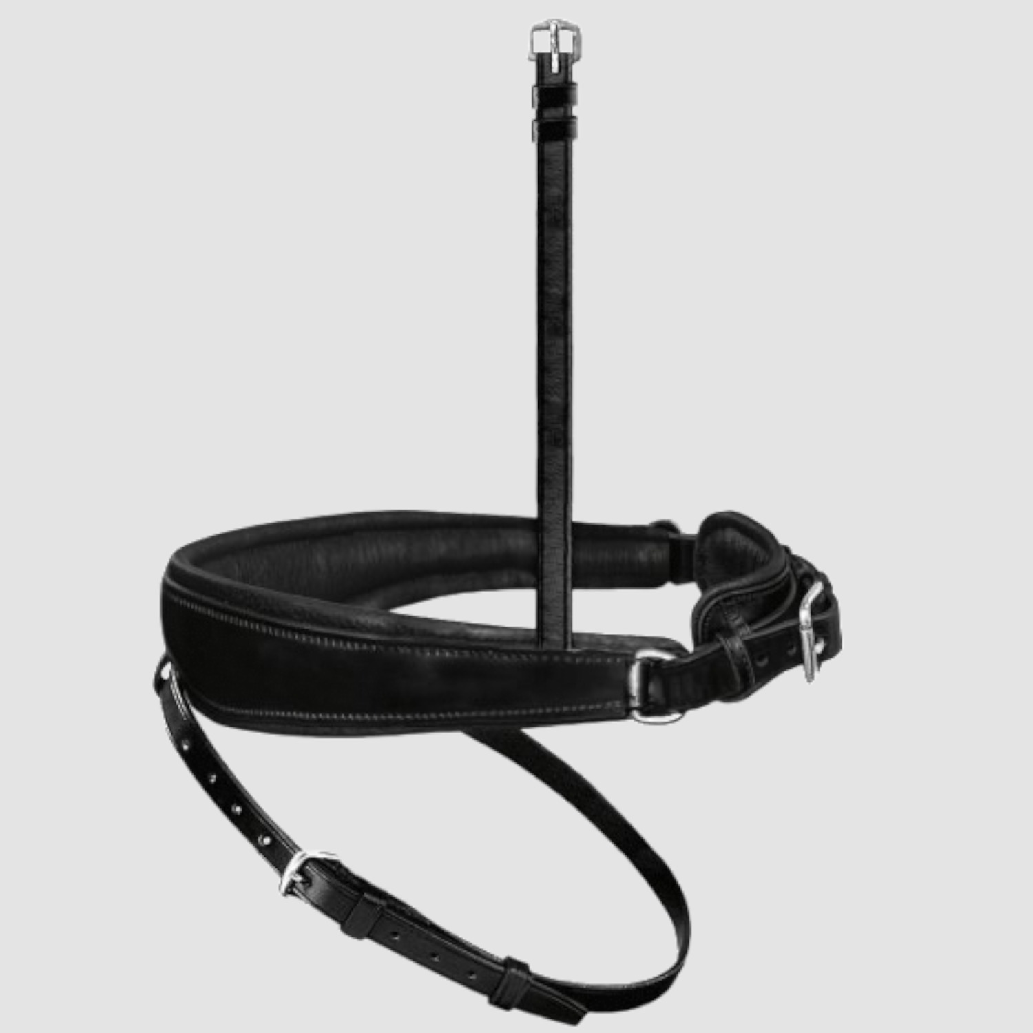 Passier Reithalfter Wechselnasenriemen alle Variationen