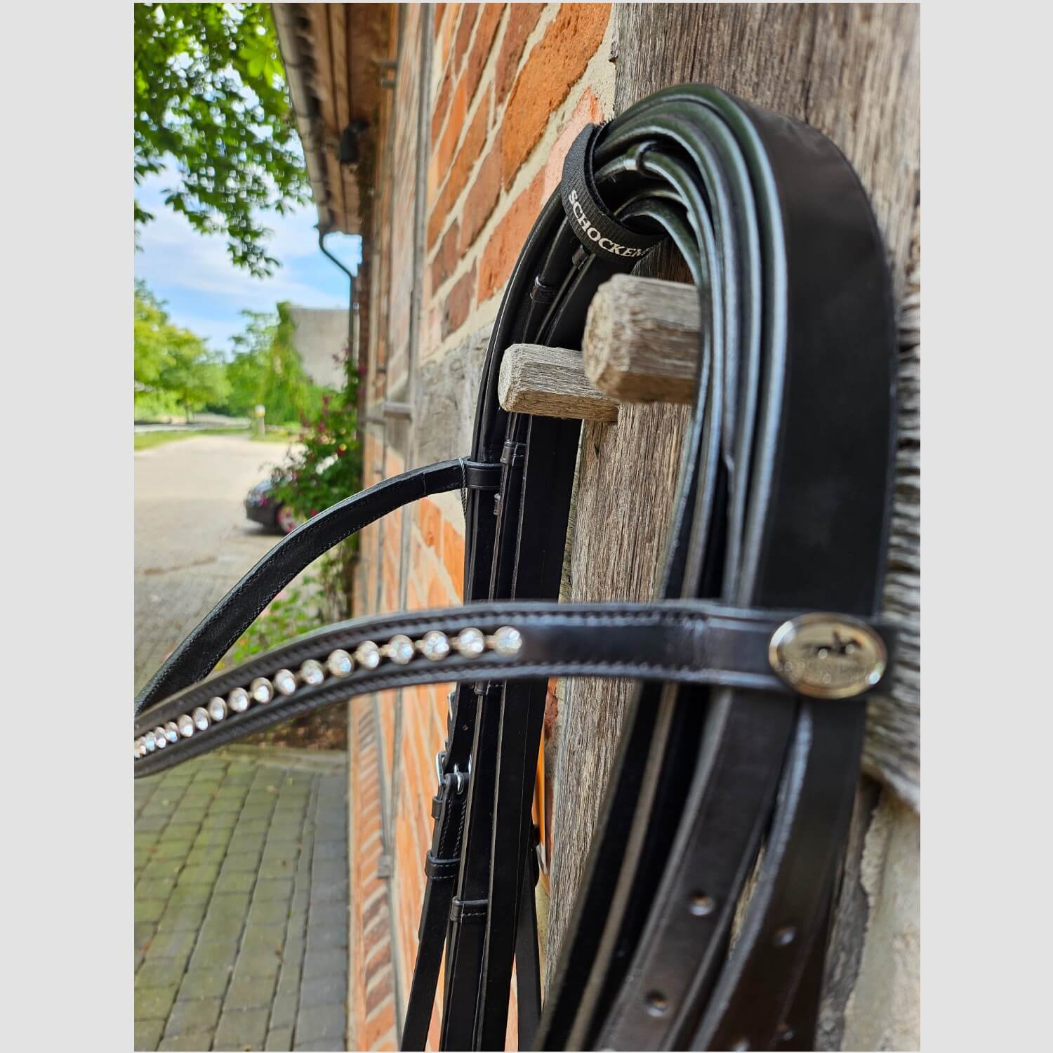 Schockemöhle Kandare Cannes Black