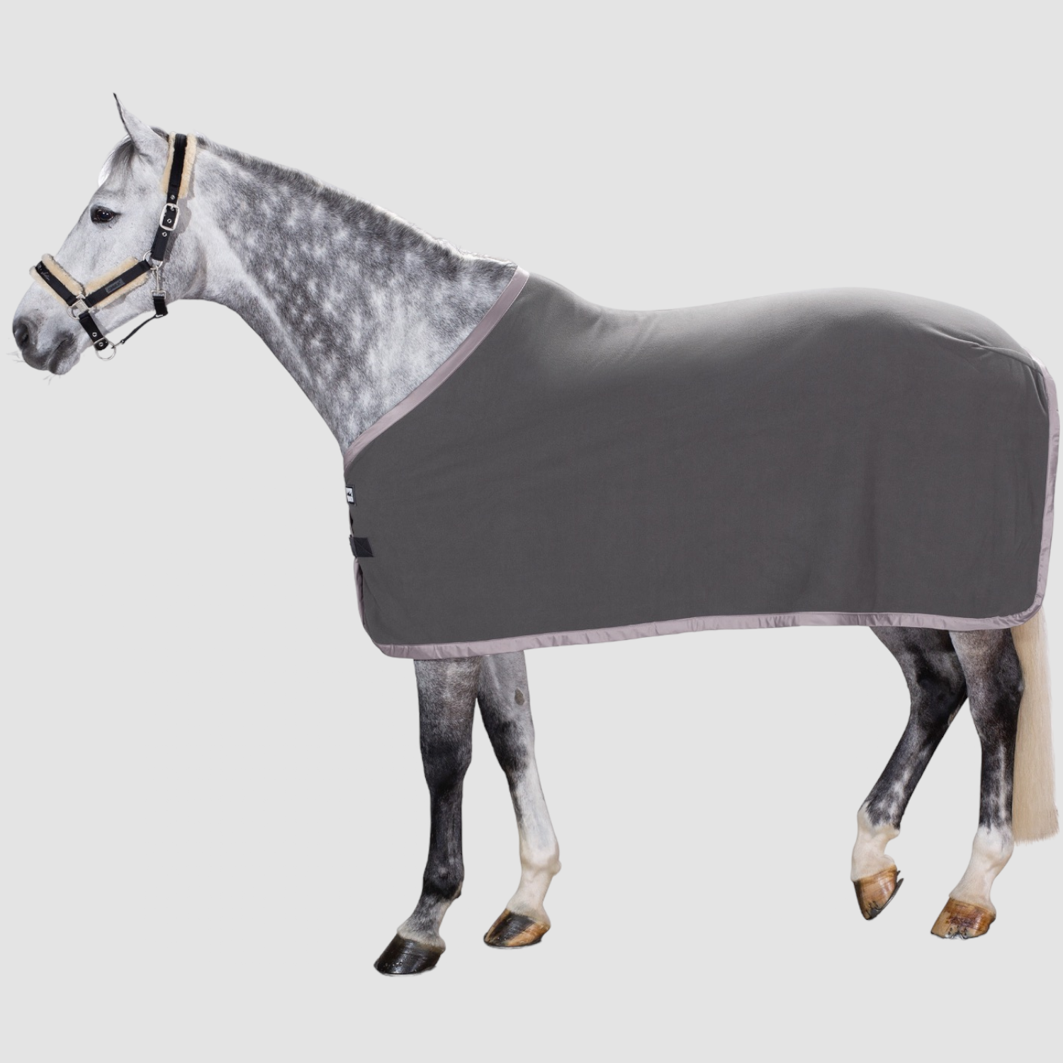 Eskadron Abschwitzdecke Fleece Basics Eskadron Abschwitzdecke Fleece Basics