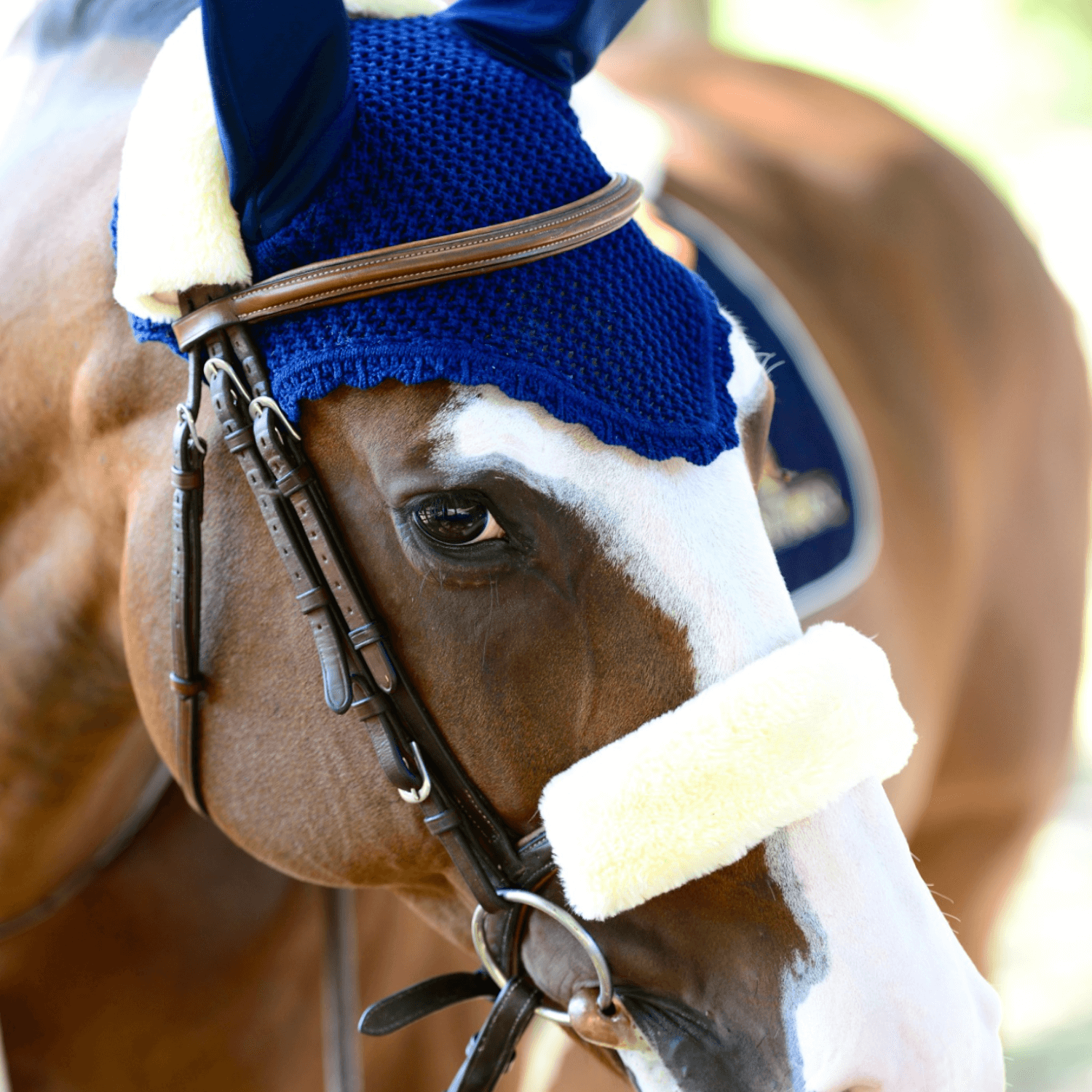 Kentucky Lammfell Nasenriemenschoner Kentucky Lammfell Nasenriemenschoner