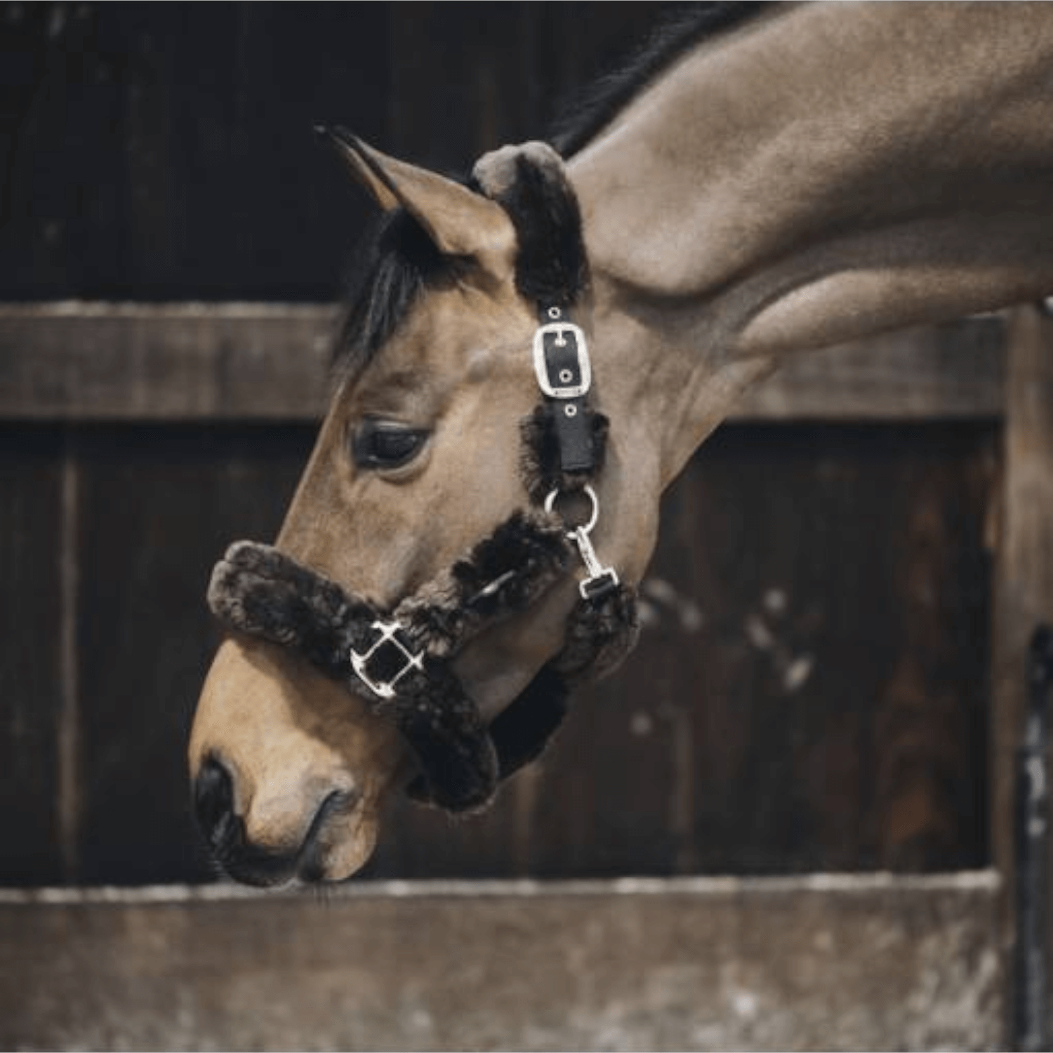 Kentucky Lammfell Transport Halfter