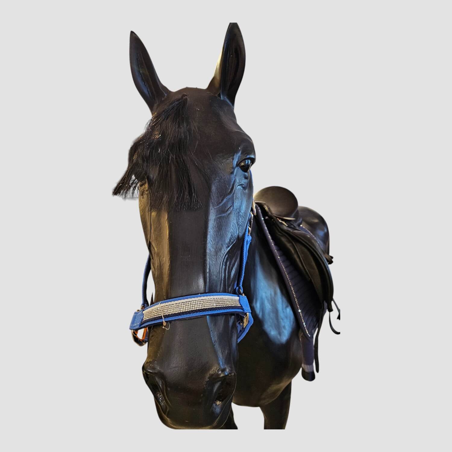 Schockemöhle Nylon Halfter Xenia Chrome