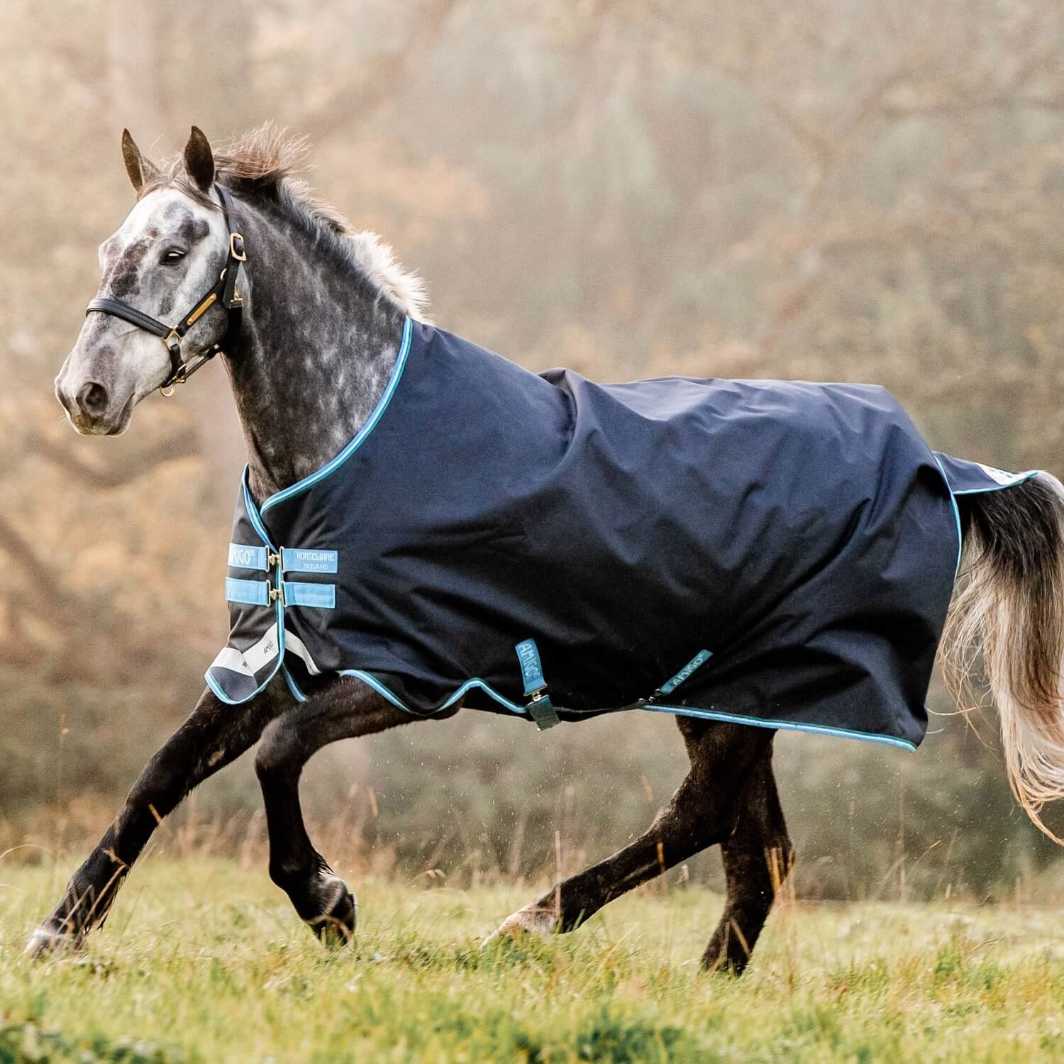 Horseware Weidedecke Amigo Bravo 12 Original 100 g