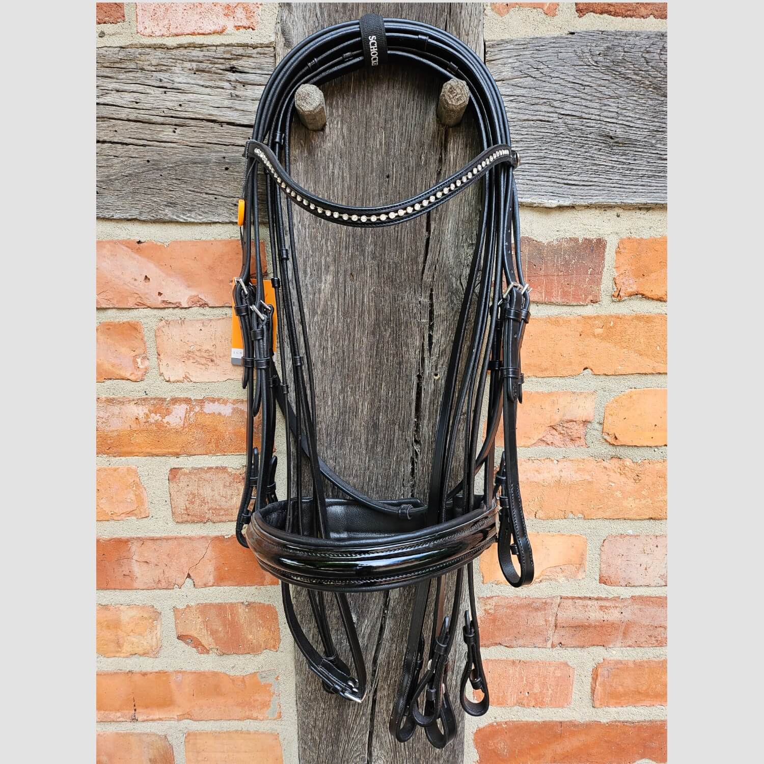 Schockemöhle Kandare Cannes Black