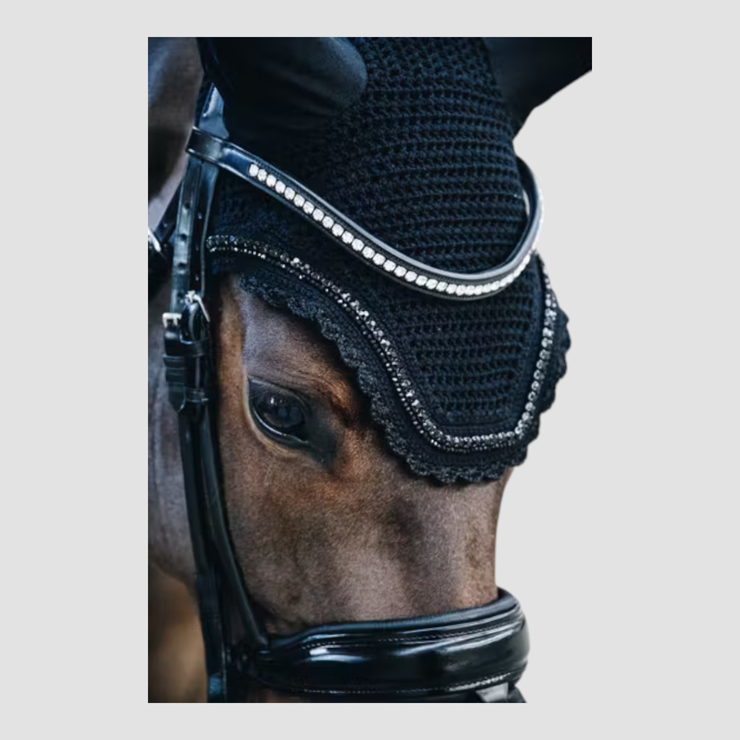 Kentucky Fliegenhaube Wellington Stone & Pearl Soundless