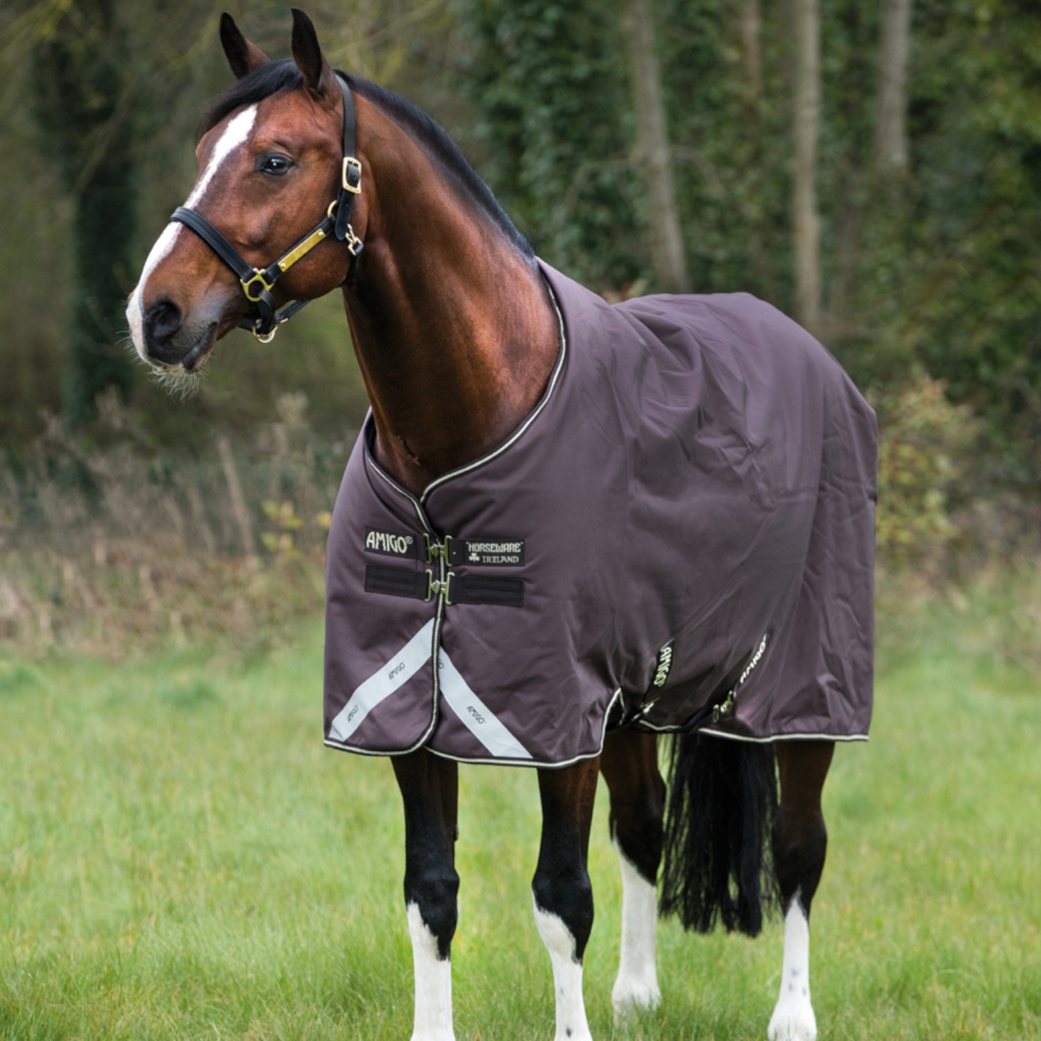 Horseware Regen- Weidedecke Amigo Bravo 12 T/O Lite