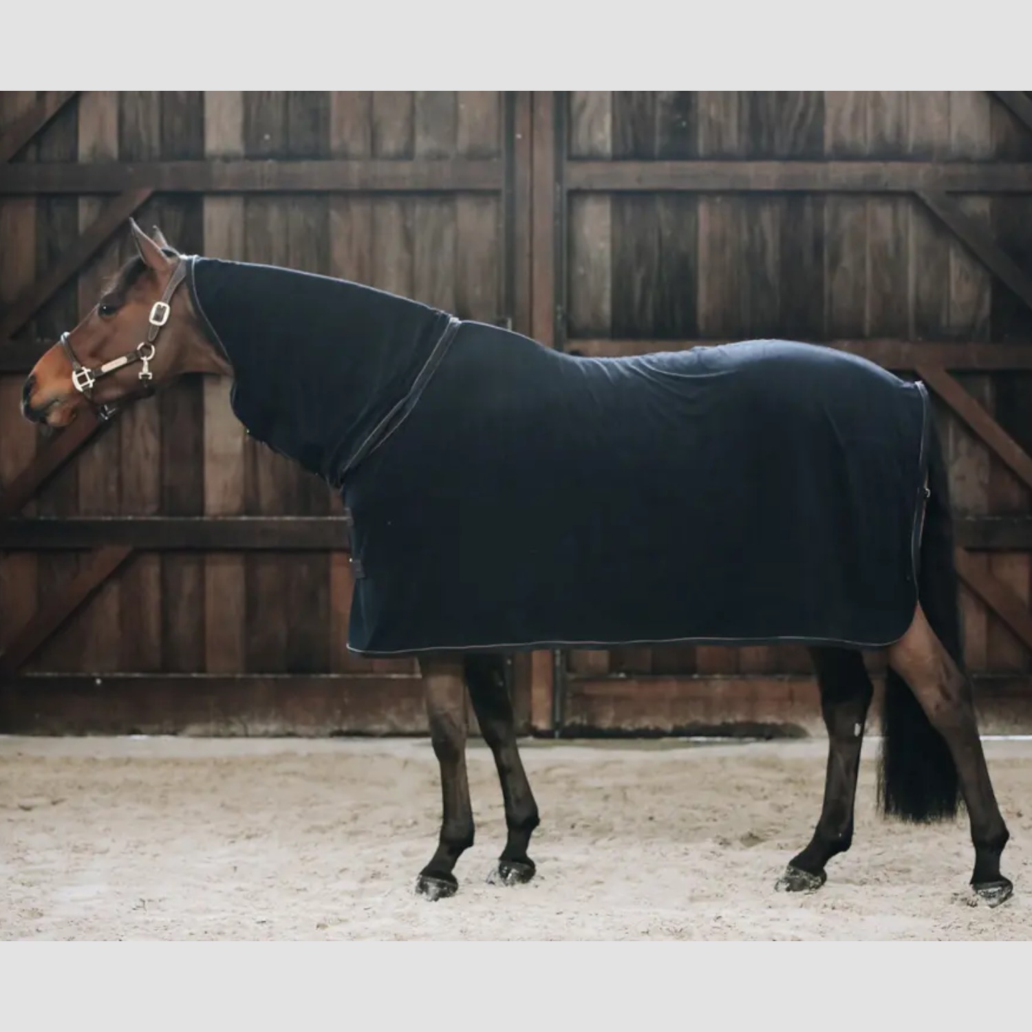Kentucky Abschwitzdecke Towel mit Halsteil black
