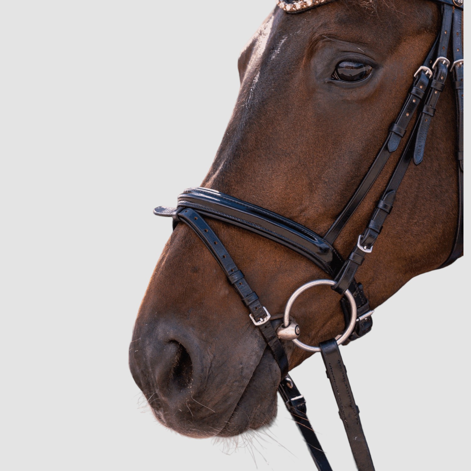 Sprenger Dynamic RS Wassertrense doppelt gebrochen 14mm