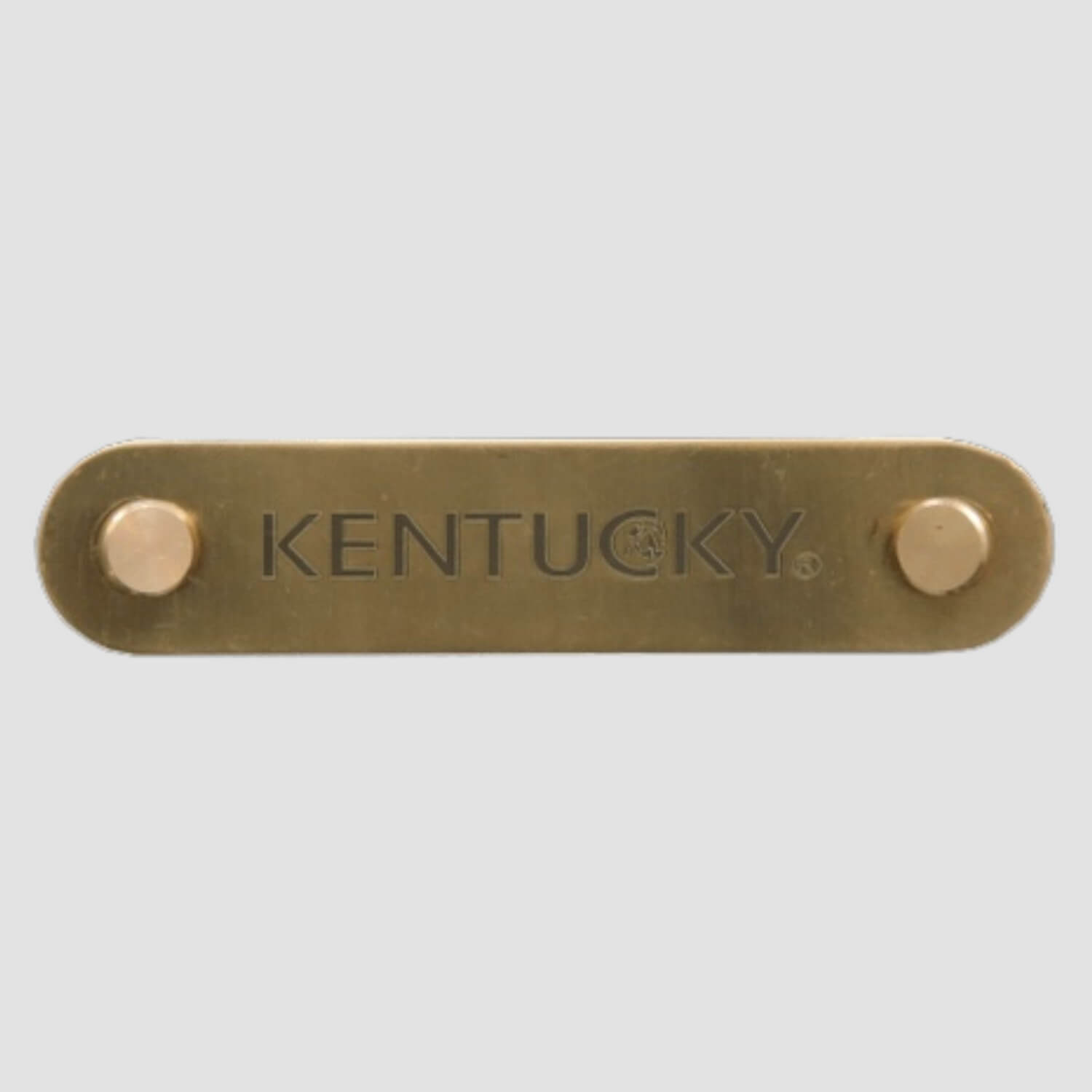 Kentucky Namensschild für Lederhalfter gold