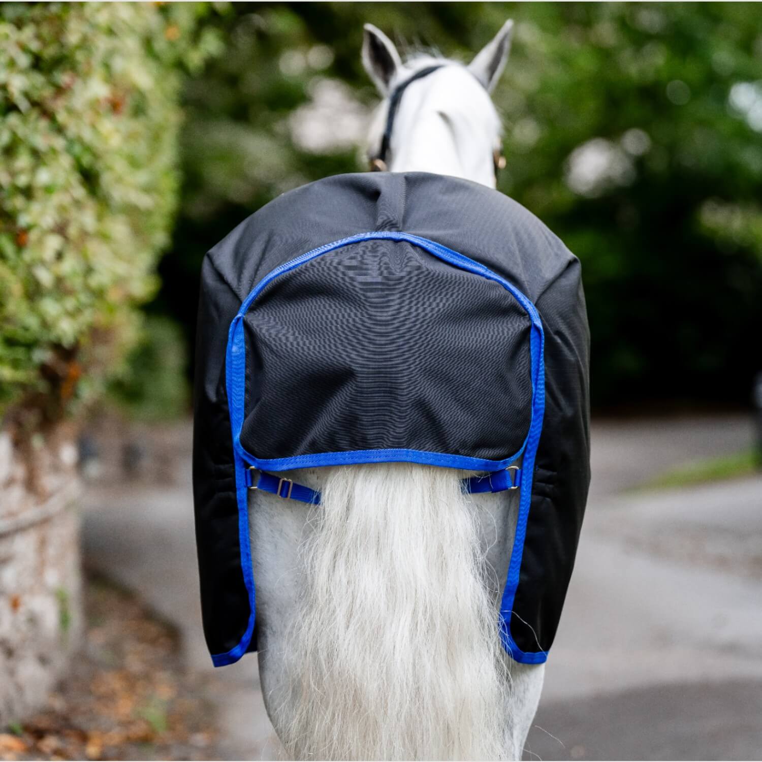 Horseware Amigo Ripstop 900D Plus Pony Turnout Black/Classic Blue