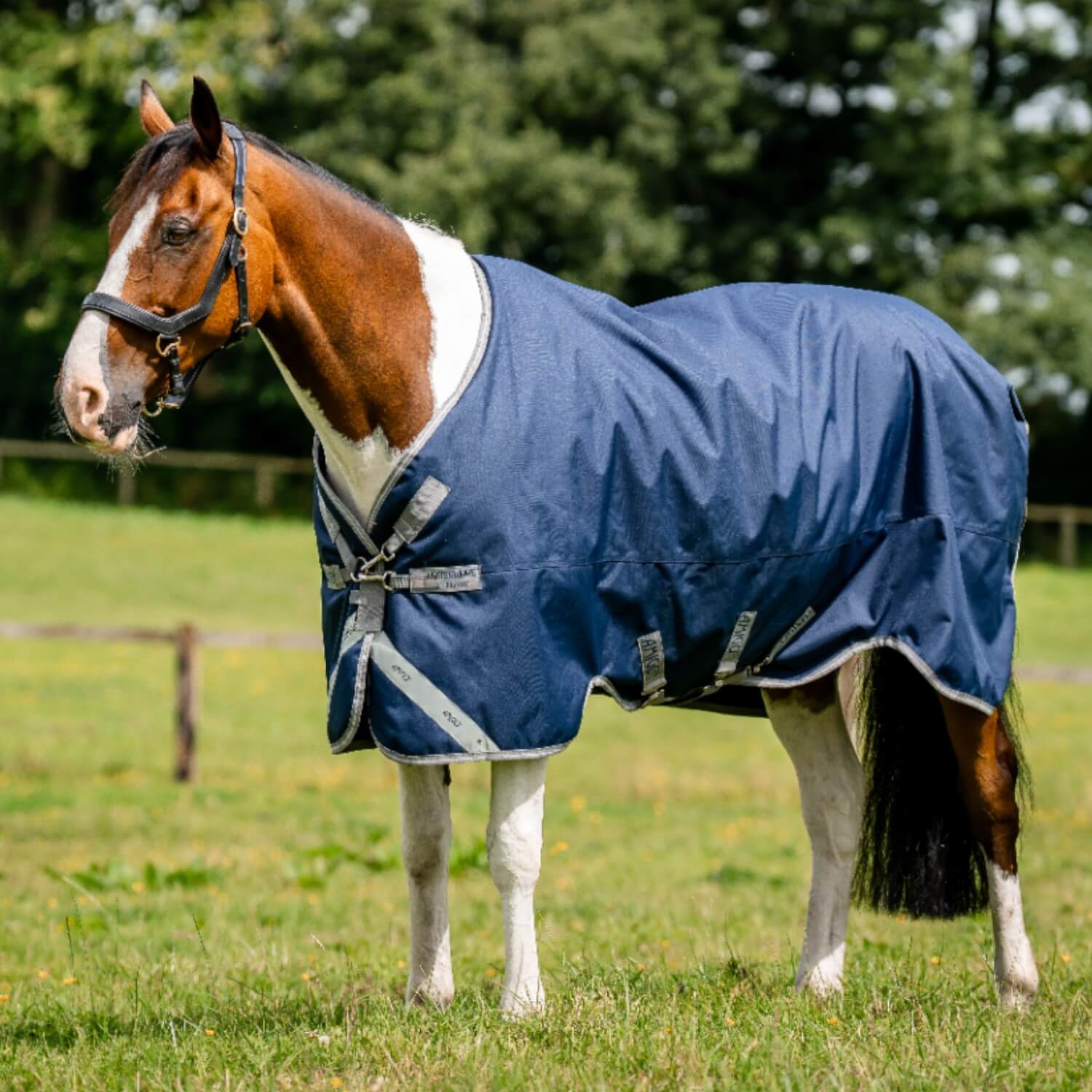 Horseware Amigo 1200D Turnout 0g Navy/Titanium/Grey & Silver