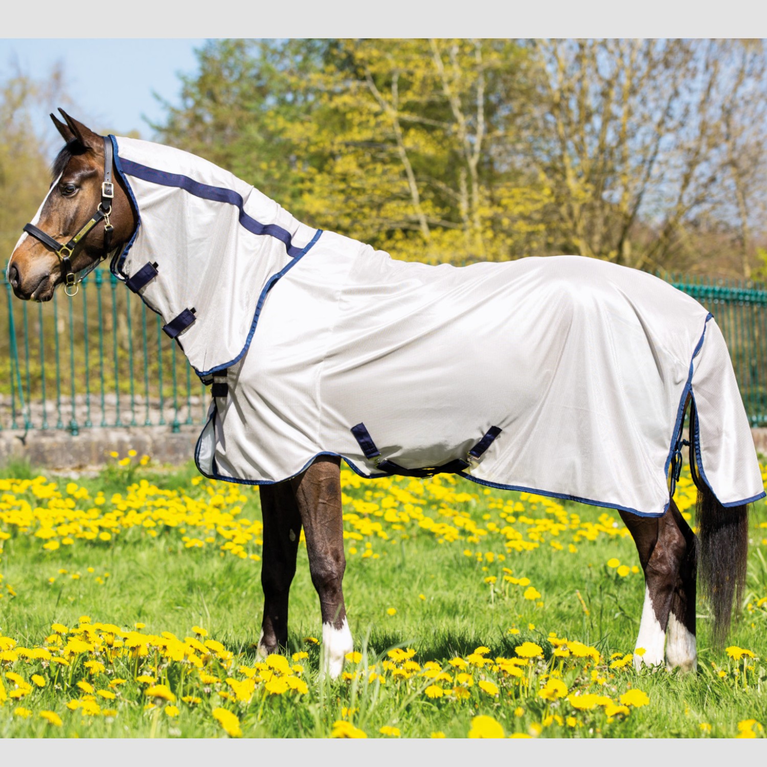 Horseware Mio Pony Fly Rug