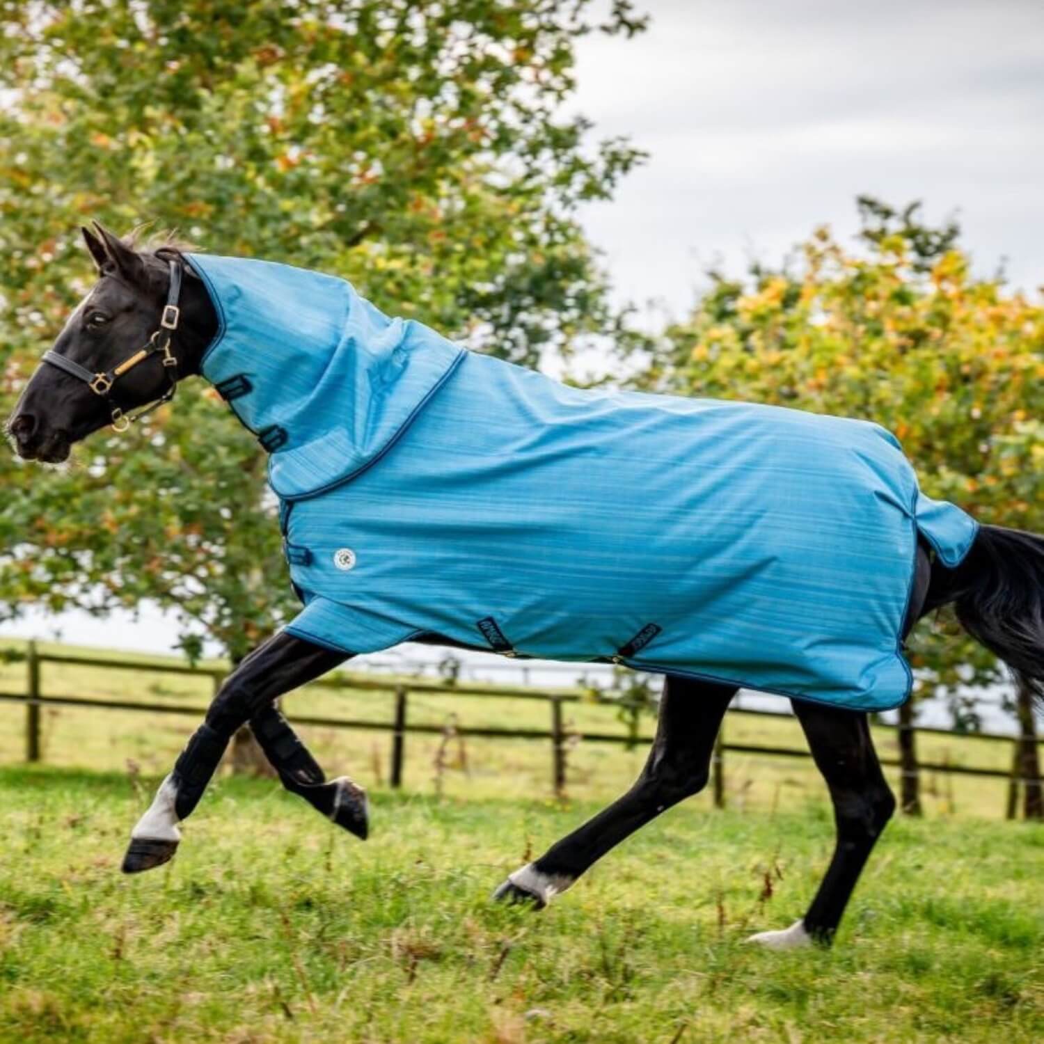 Wasserdichte Decke Horseware Amigo Hero 900 Revive Plus 50 g Wasserdichte Decke Horseware Amigo Hero 900 Revive Plus 50 g