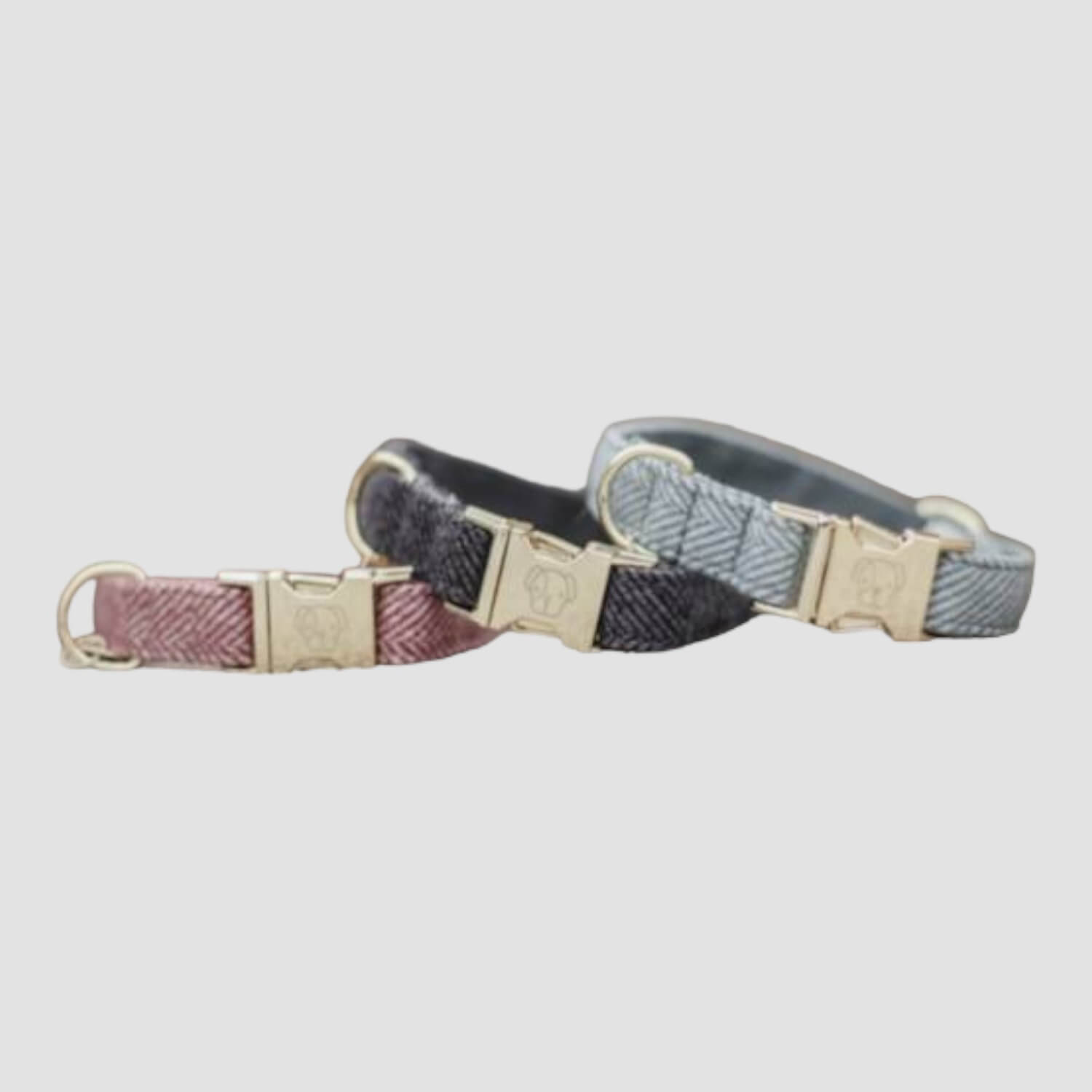 Kentucky Hundehalsband "Wool"