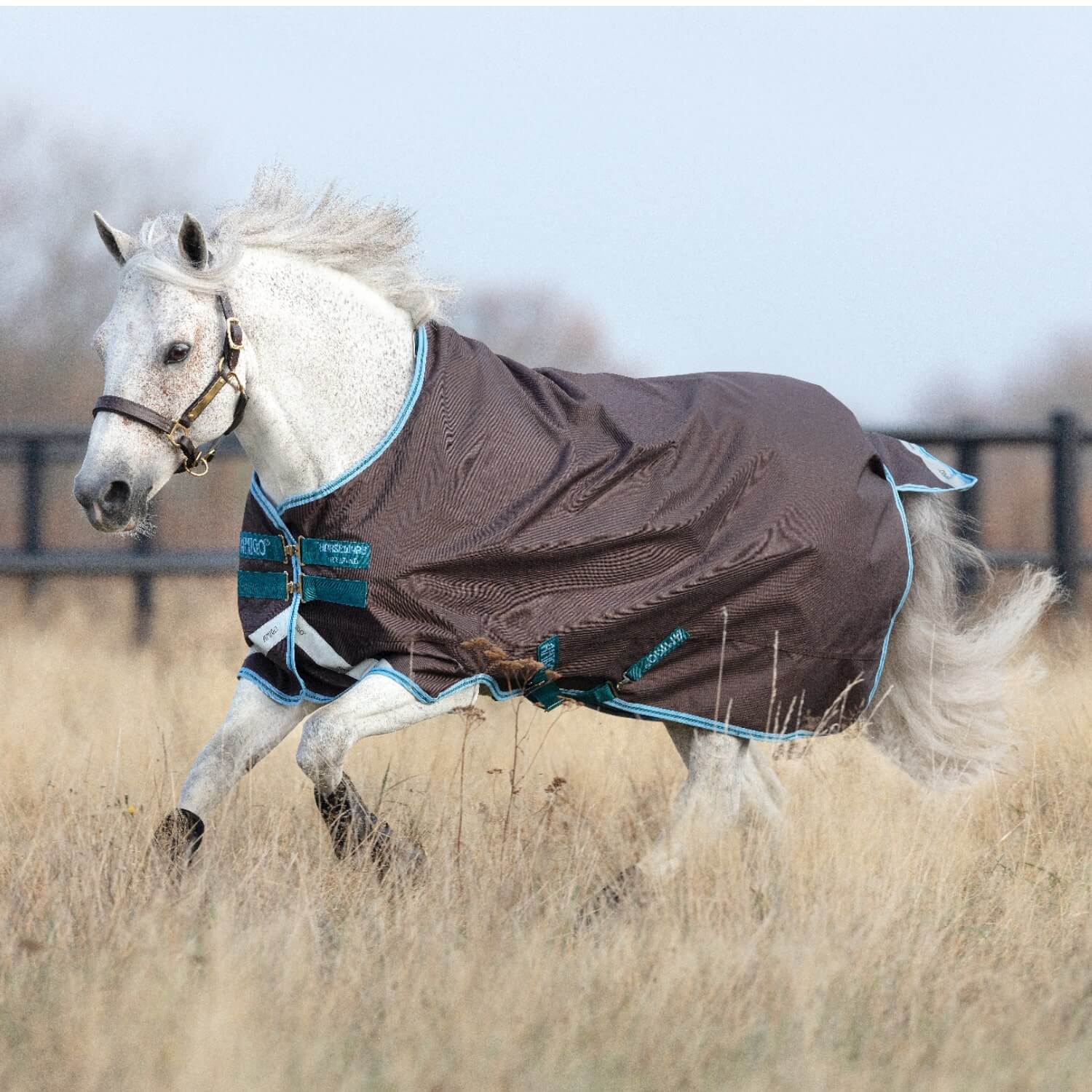 Horseware Amigo Bravo 12 T/O light Pony excalibur