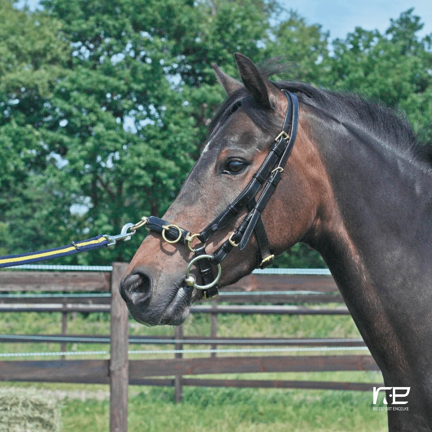 Busse Kappzaum Professional Schwarz