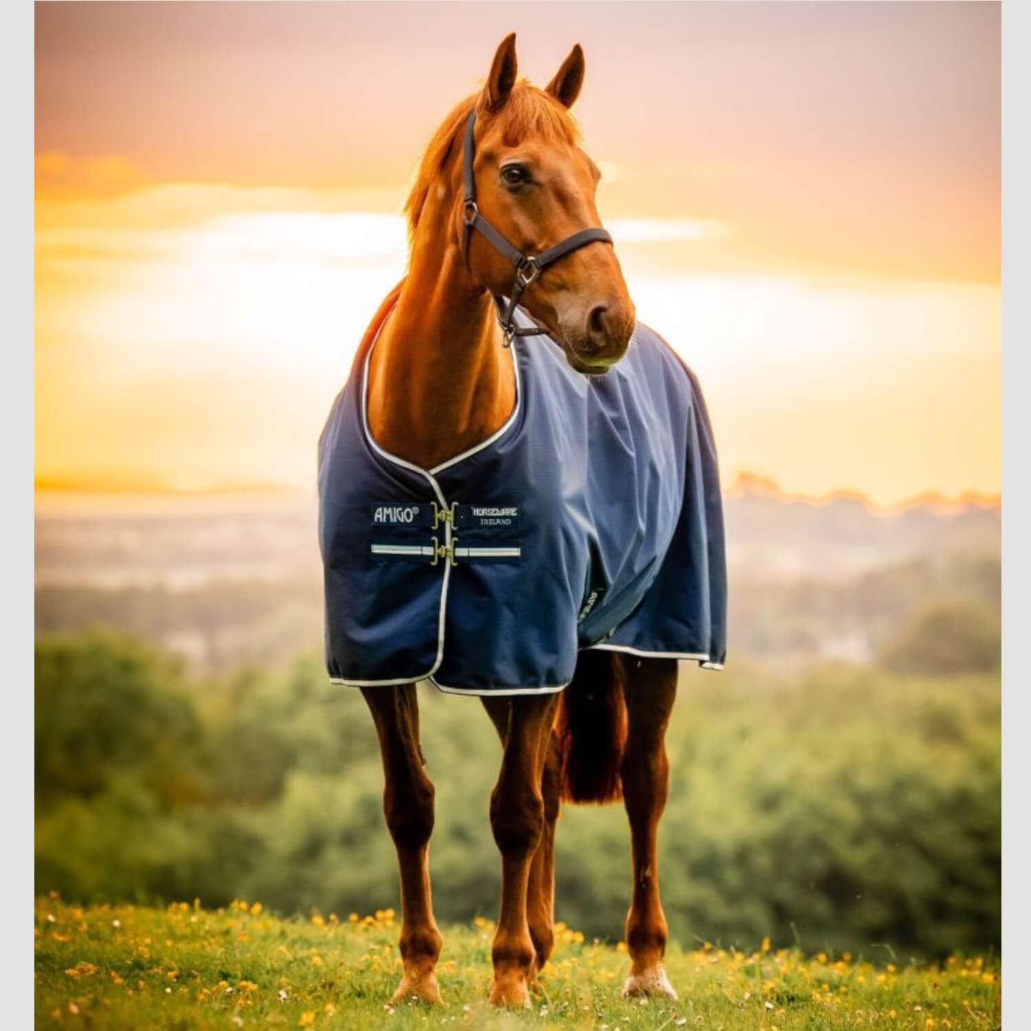 Horseware Pony Amigo Ripstop 900D Turnout 0g Witney Navy
