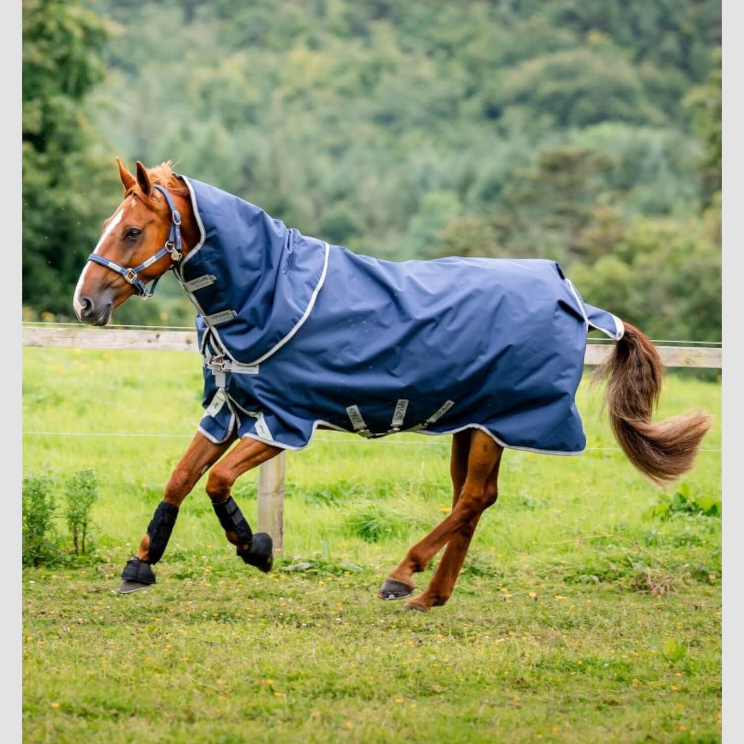 Horseware Amigo 1200D Turnoput 0g Navy/Titanium/Grey