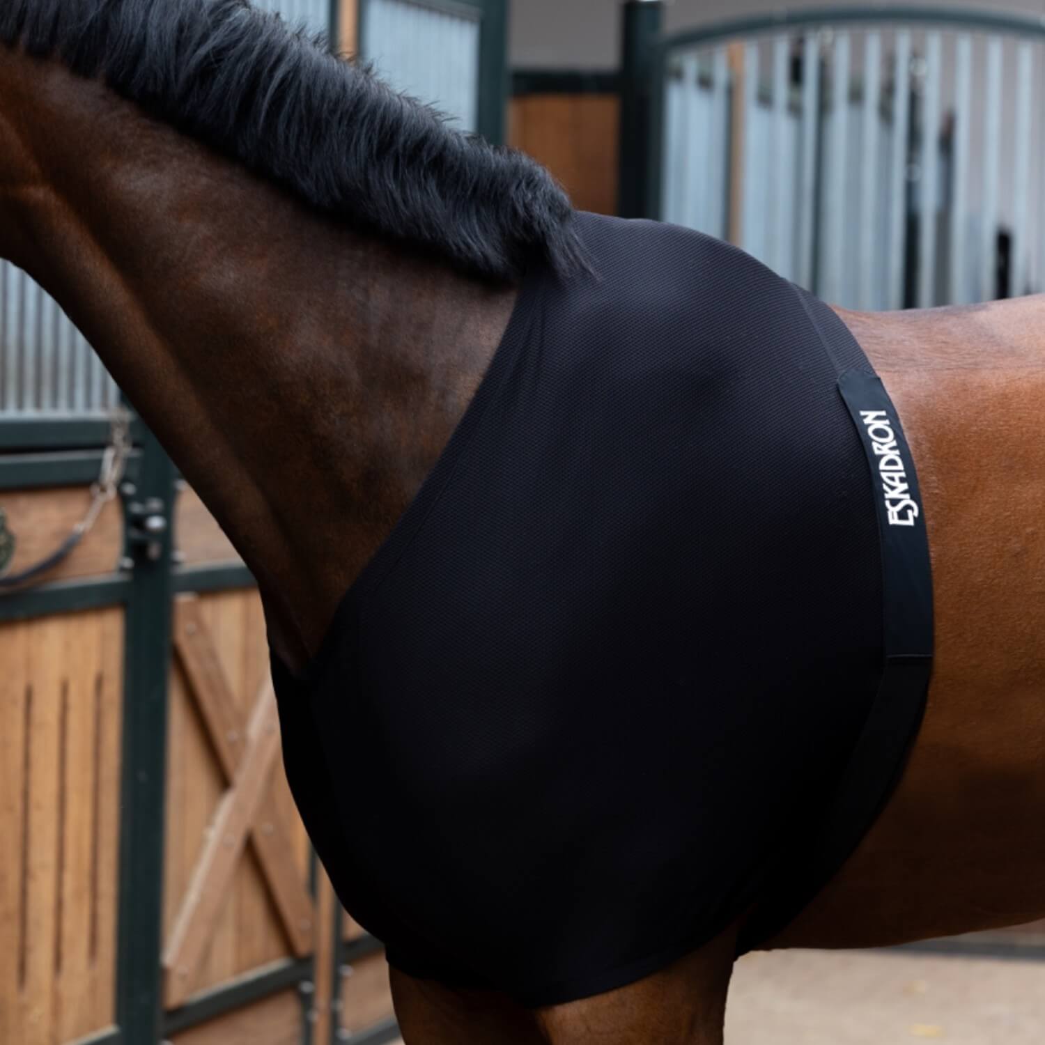 Eskadron Brustschutz DynAir Mesh