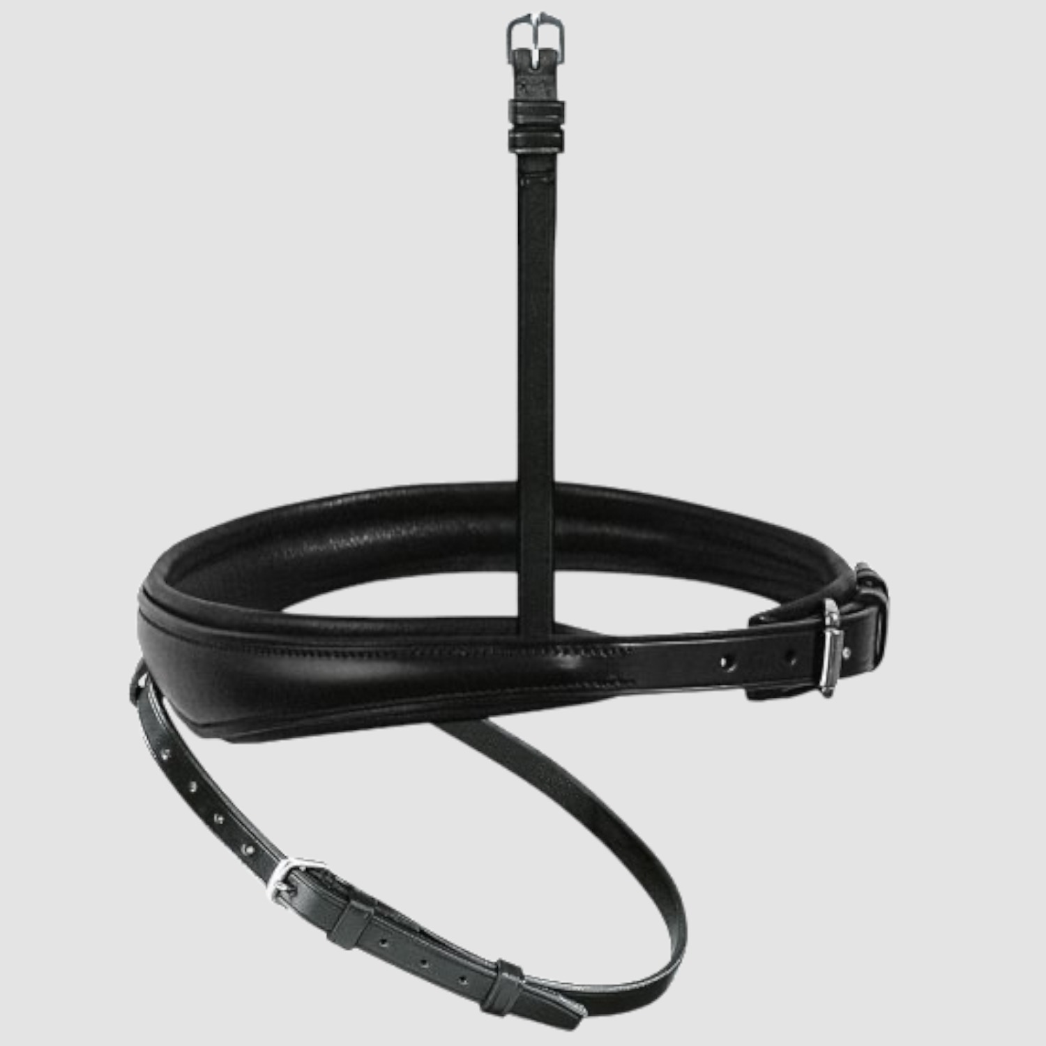 Passier Reithalfter Wechselnasenriemen alle Variationen