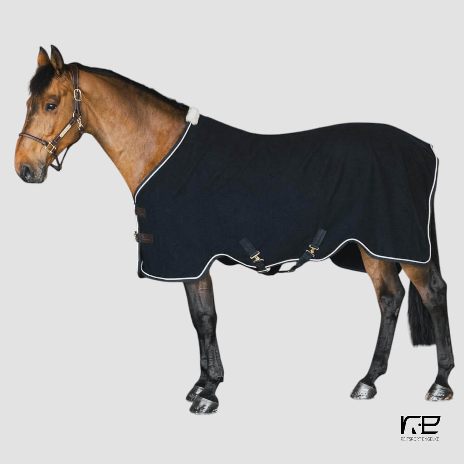 Kentucky Abschwitzdecke Vegan Wolle schwarz