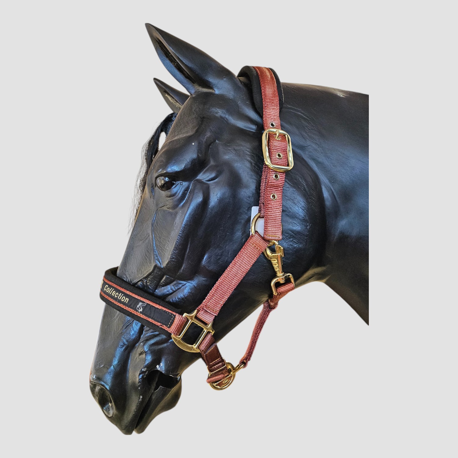 Kieffer Stallhalfter Nylon Collection Rost