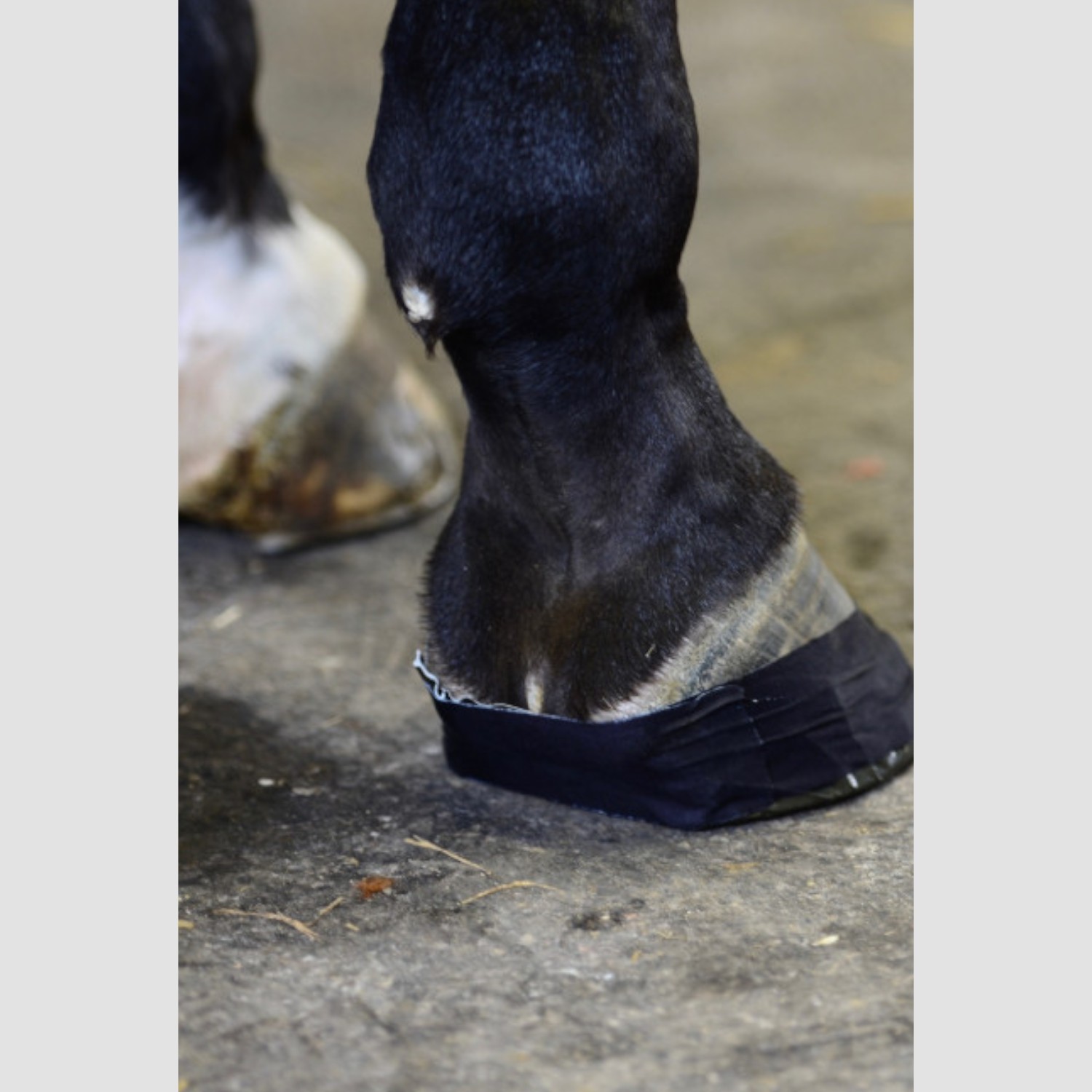 Kentucky Horsewear Hufverband Tape