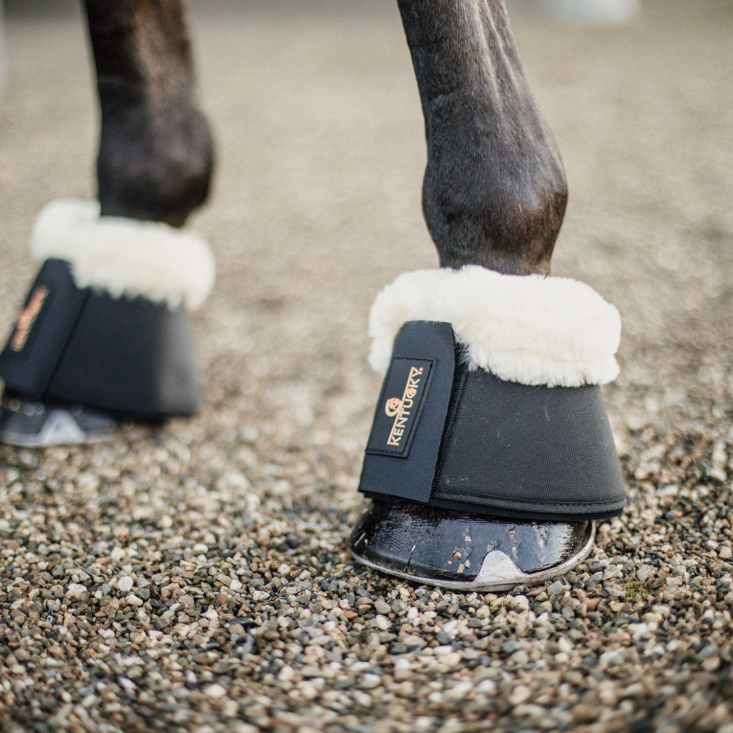 Kentucky Sprungglocken Lammfell Schwarz