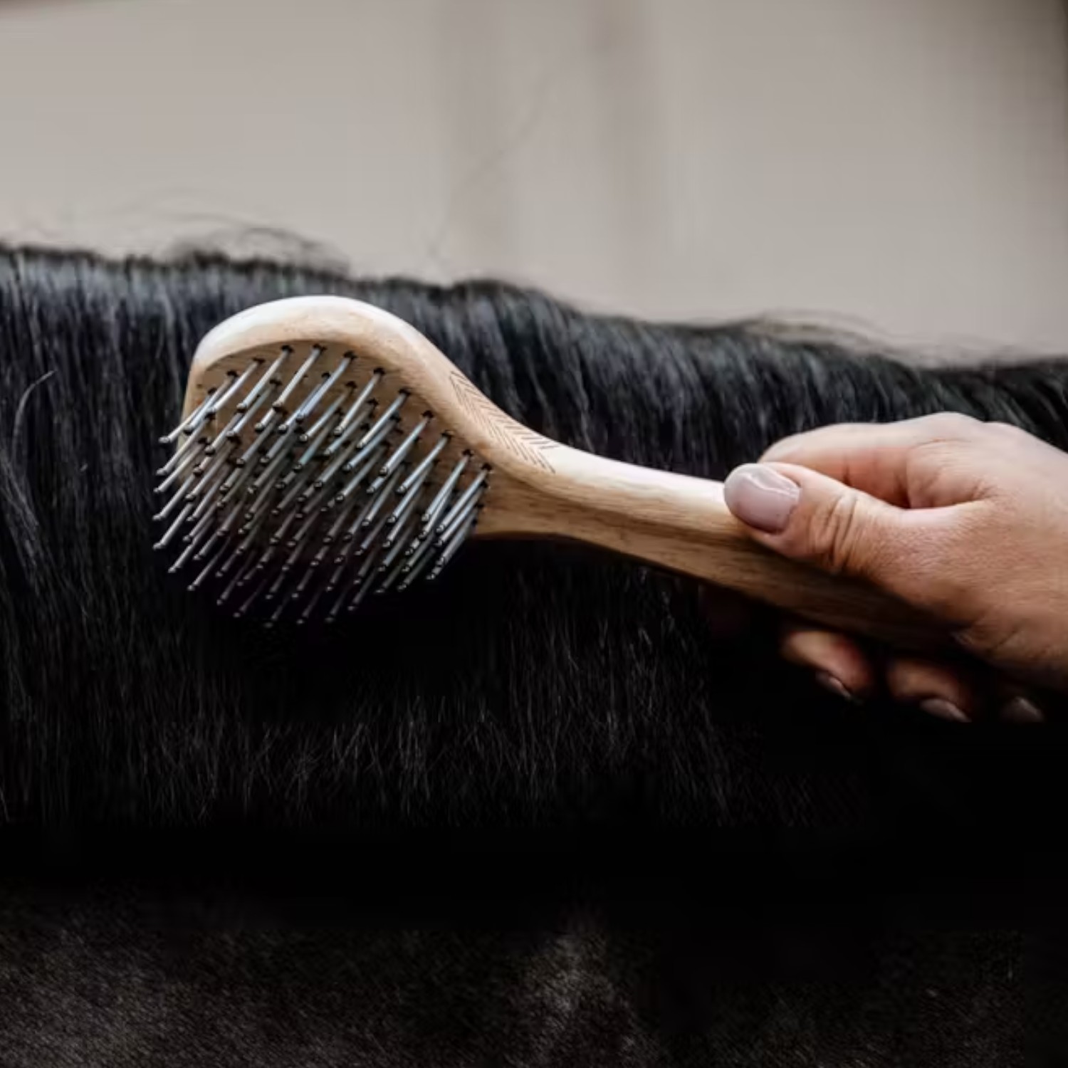 Kentucky Horsewear Mähnenbürste