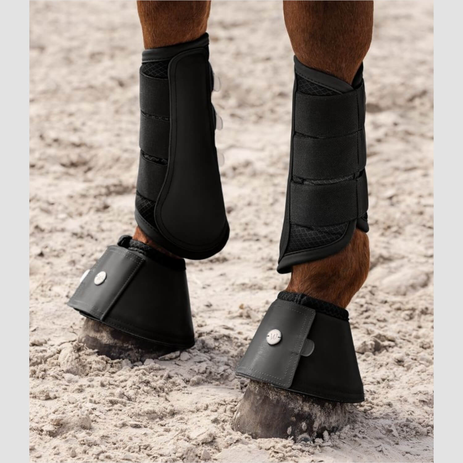 Waldhausen Hufglocke Rimini Schwarz