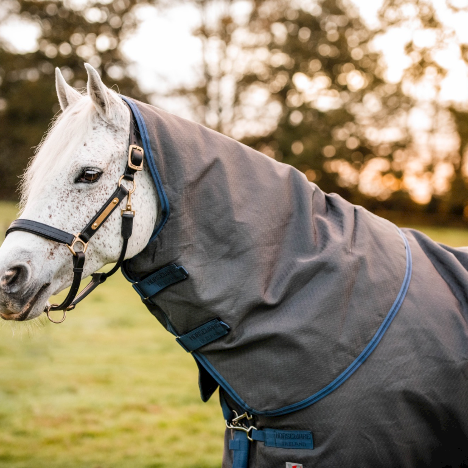 Horseware Rhino® Plus Hexstop Turnout with Vari-Layer (250g Medium)